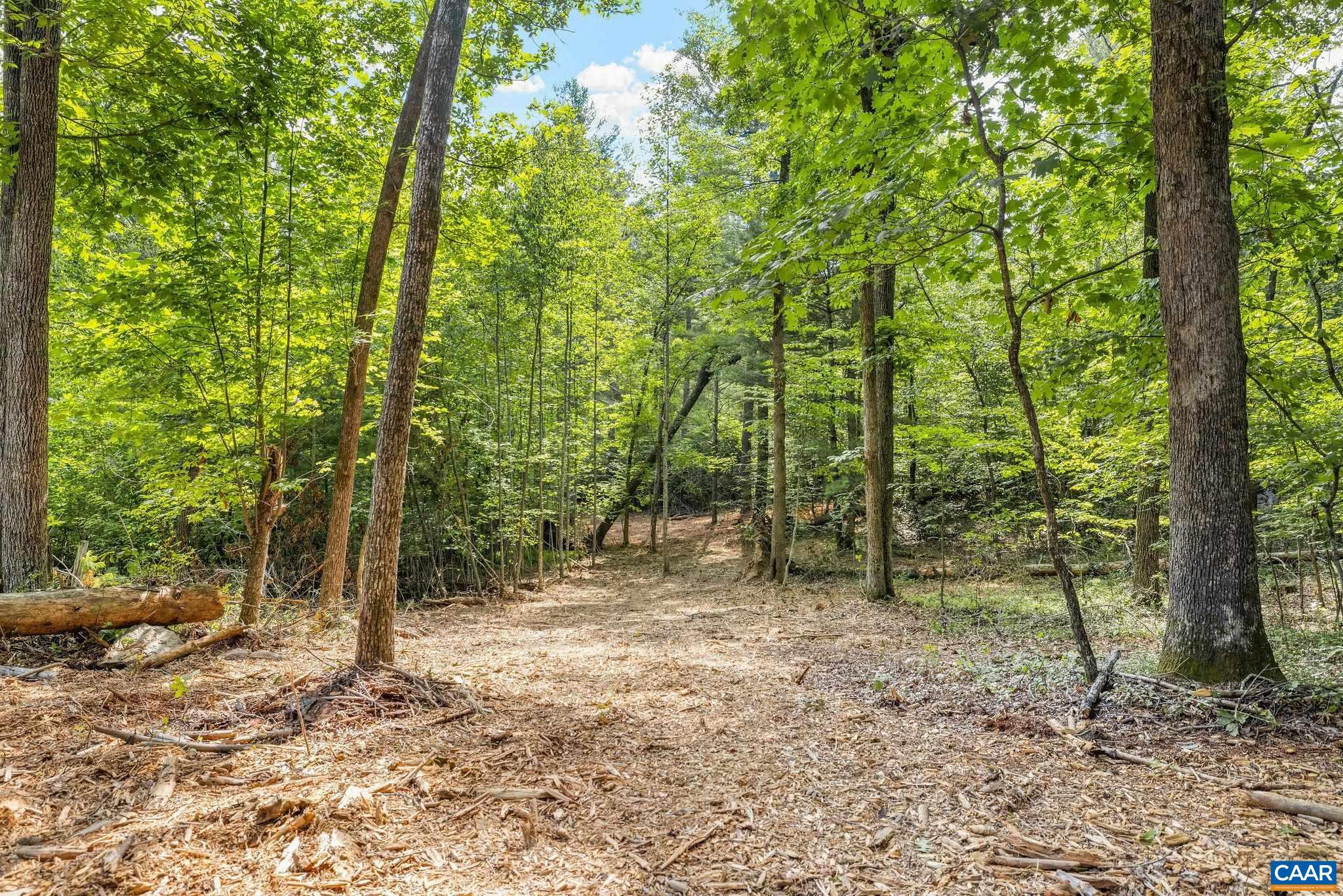 Wesley Chapel Rd, Free Union, VA 22940 - photo 7