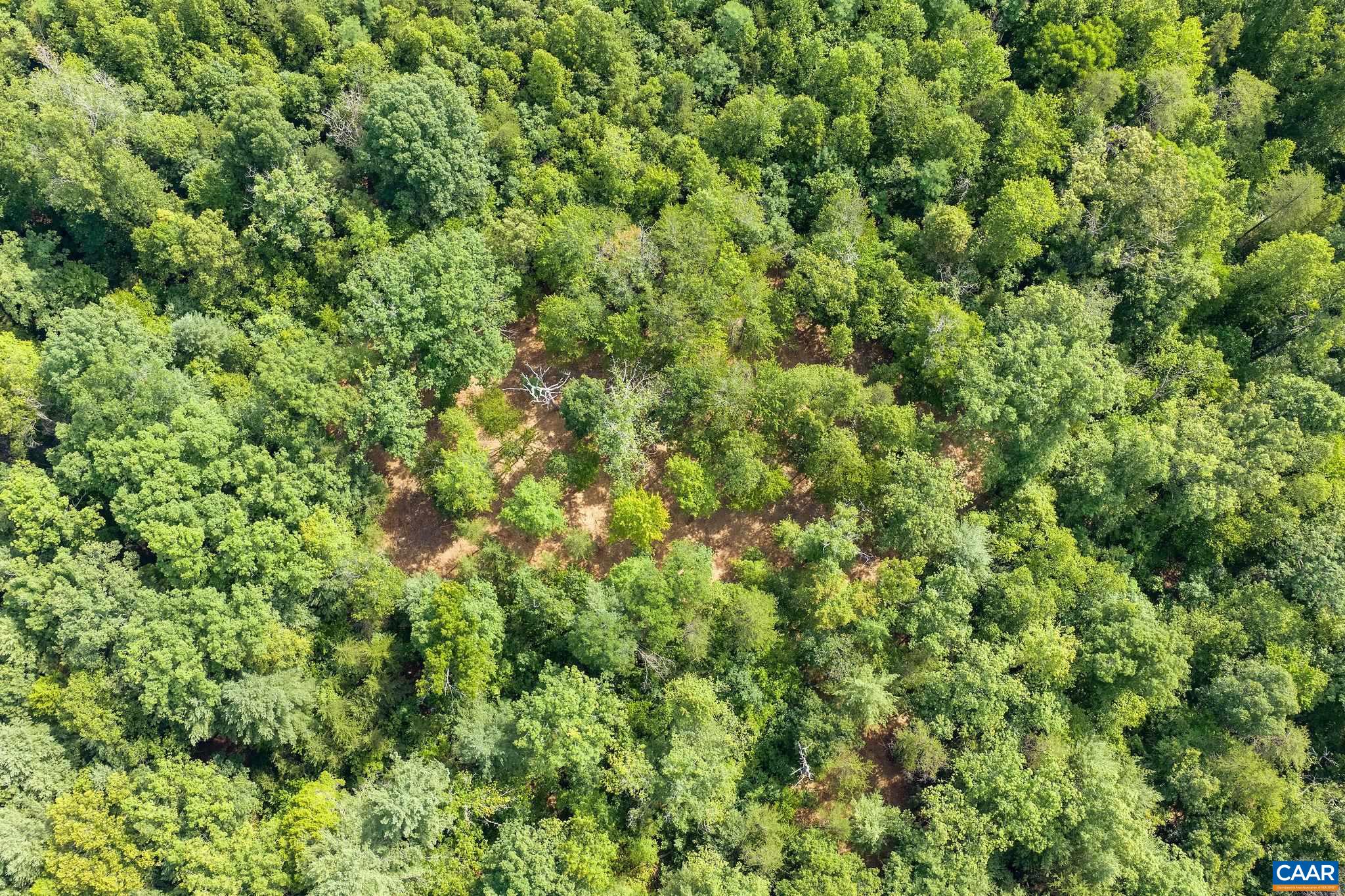 Wesley Chapel Rd, Free Union, VA 22940 - photo 8