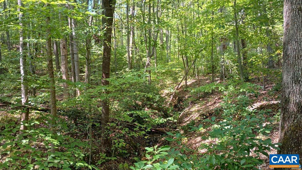 22 Piney Mountain Ln, Shipman, VA 22971 - photo 3