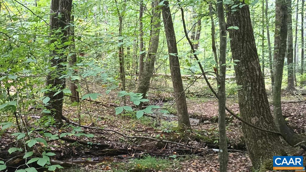 22 Piney Mountain Ln, Shipman, VA 22971 - photo 4