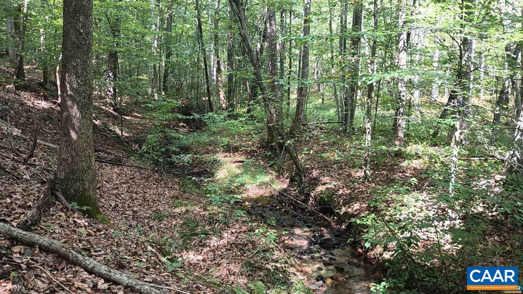 22 Piney Mountain Ln, Shipman, VA 22971 - photo 5