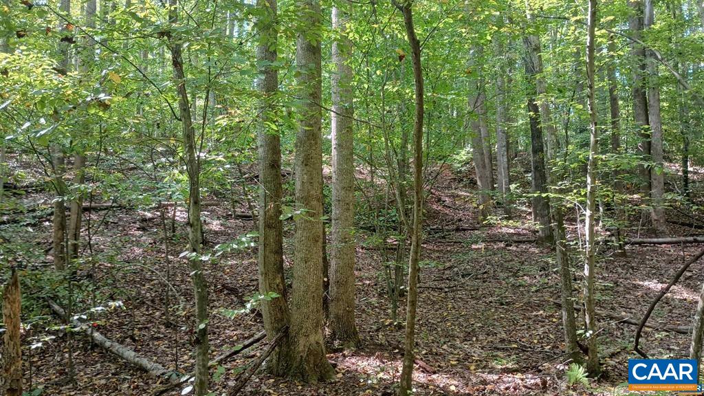 22 Piney Mountain Ln, Shipman, VA 22971 - photo 6