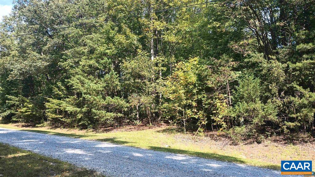 22 Piney Mountain Ln, Shipman, VA 22971 - photo 8