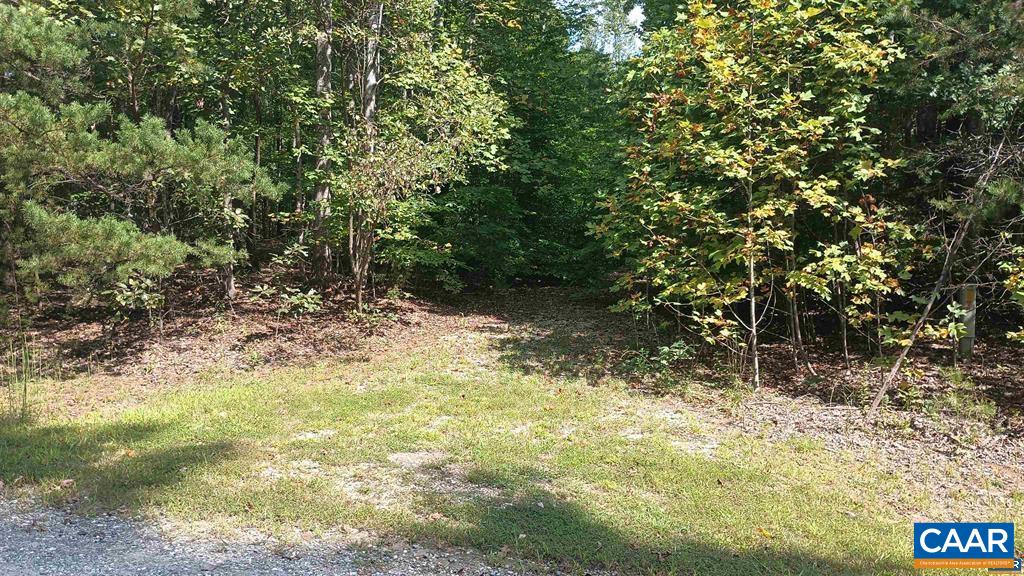 22 Piney Mountain Ln, Shipman, VA 22971 - photo 9