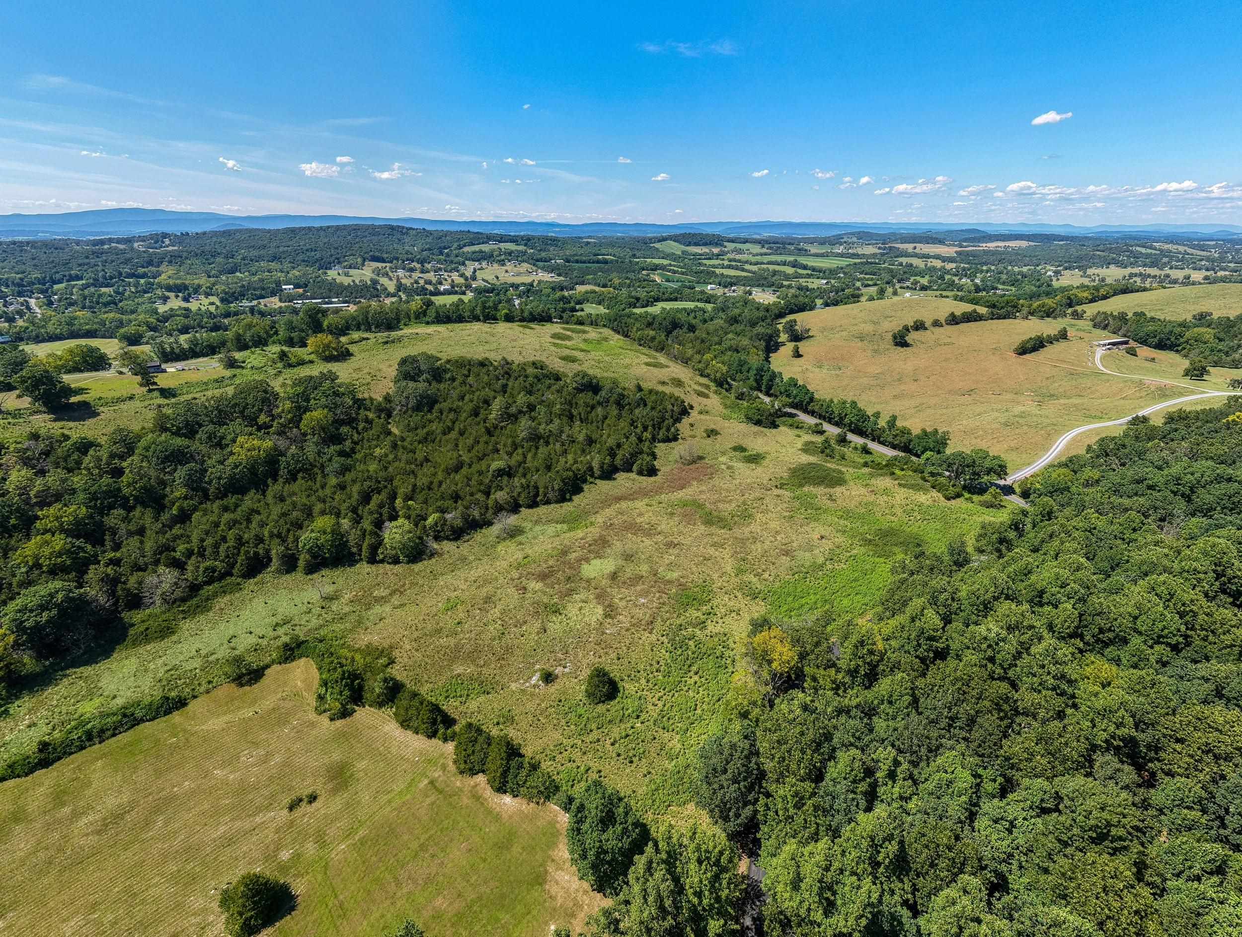 Trinity Church Rd, Rockingham, VA 22802 - photo 4