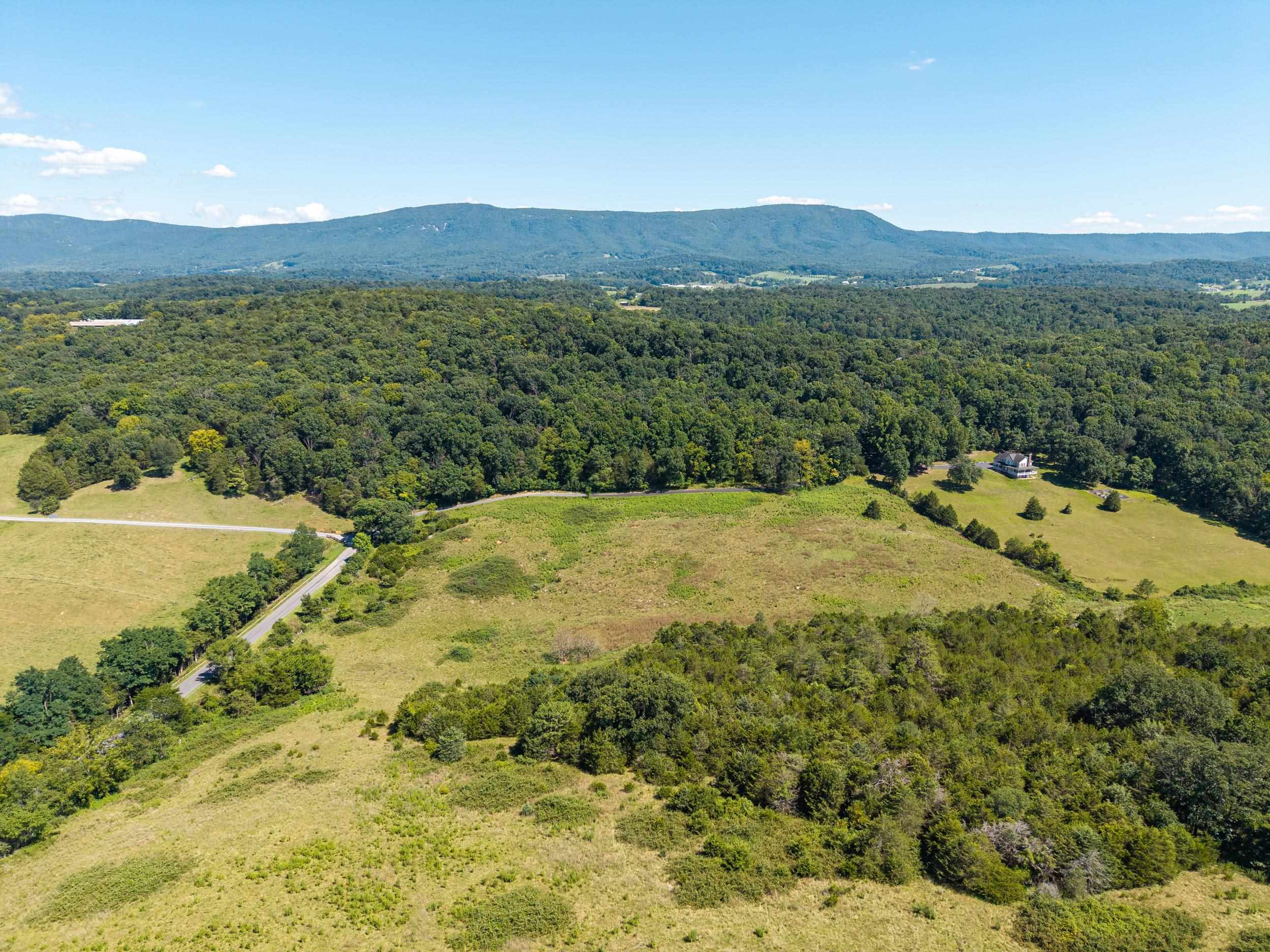 Trinity Church Rd, Rockingham, VA 22802 - photo 7