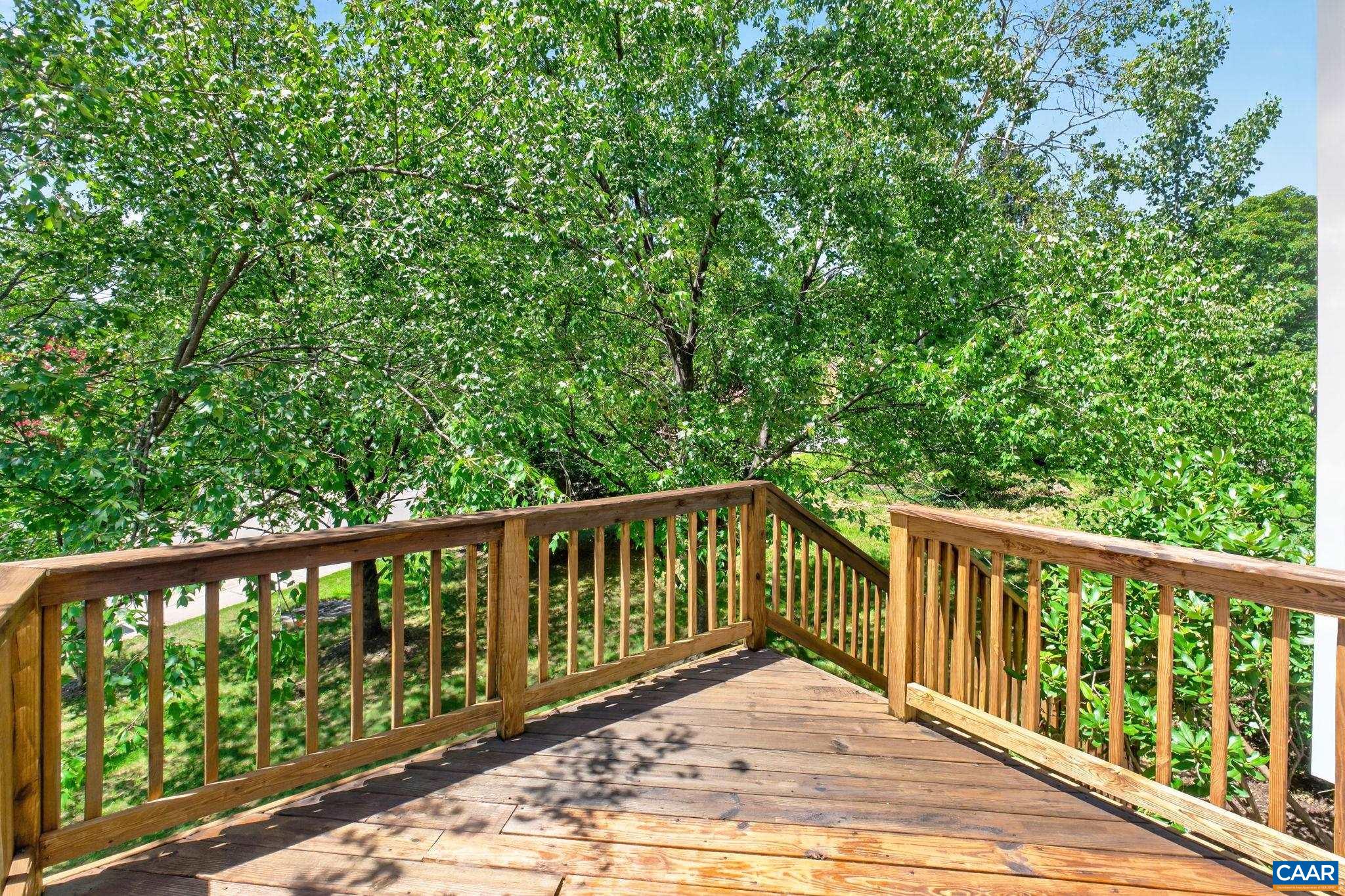 119 Lupine Ln, Charlottesville, VA 22901 — photo 6