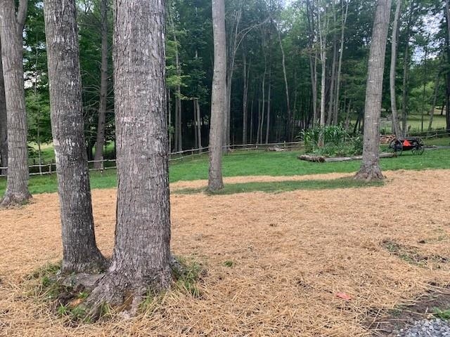2352 Dug Bank Rd, Monterey, VA 24465 - photo 10