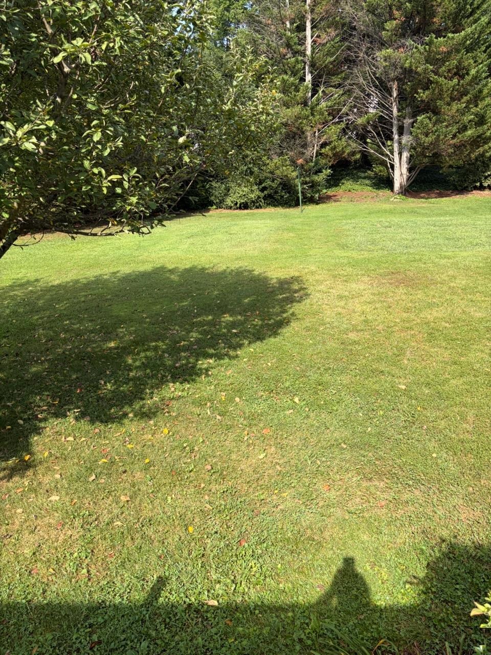 1411 Sunset Ln, Waynesboro, VA 22980 — photo 10