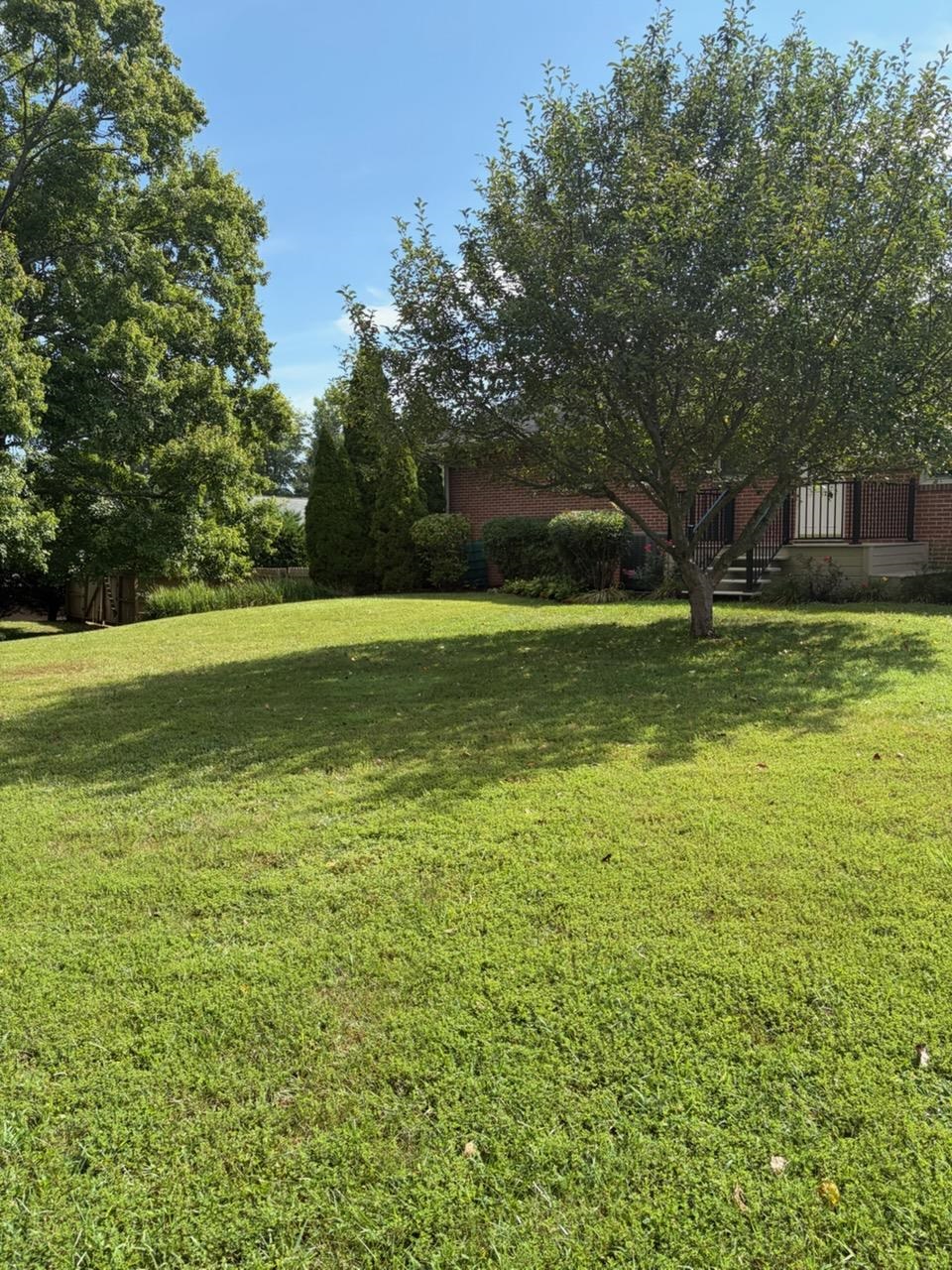 1411 Sunset Ln, Waynesboro, VA 22980 — photo 8