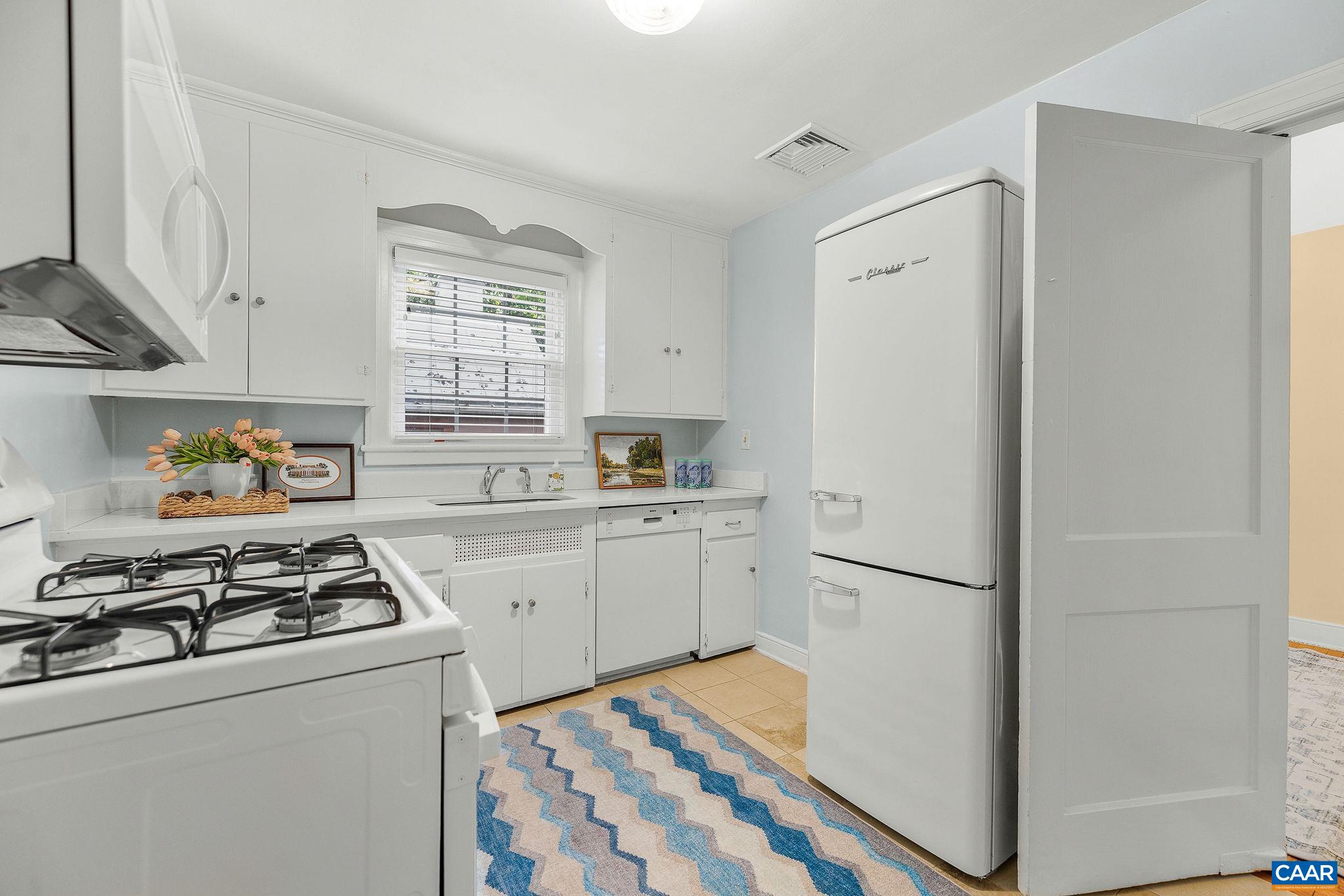 113 Cameron Ln, Charlottesville, VA 22903 - photo 10