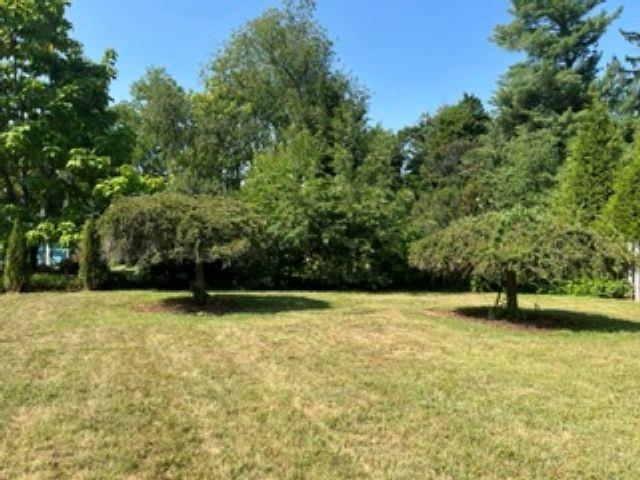 102 Taylor St, Staunton, VA 24401 — photo 6