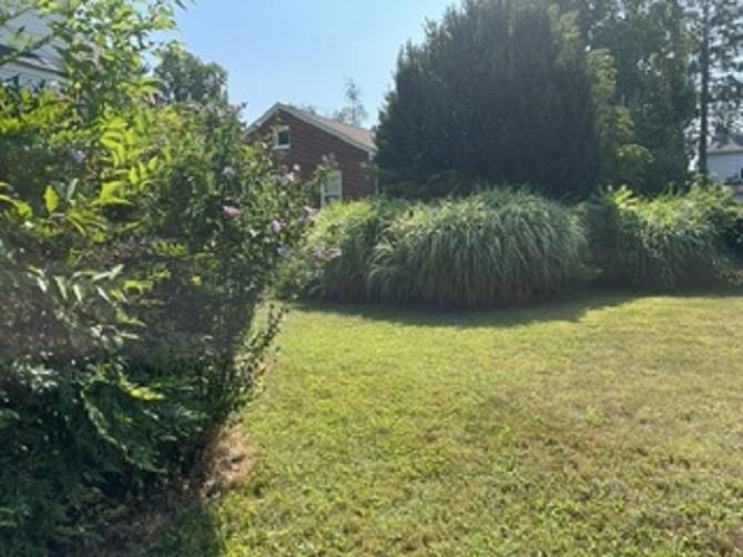 102 Taylor St, Staunton, VA 24401 — photo 8