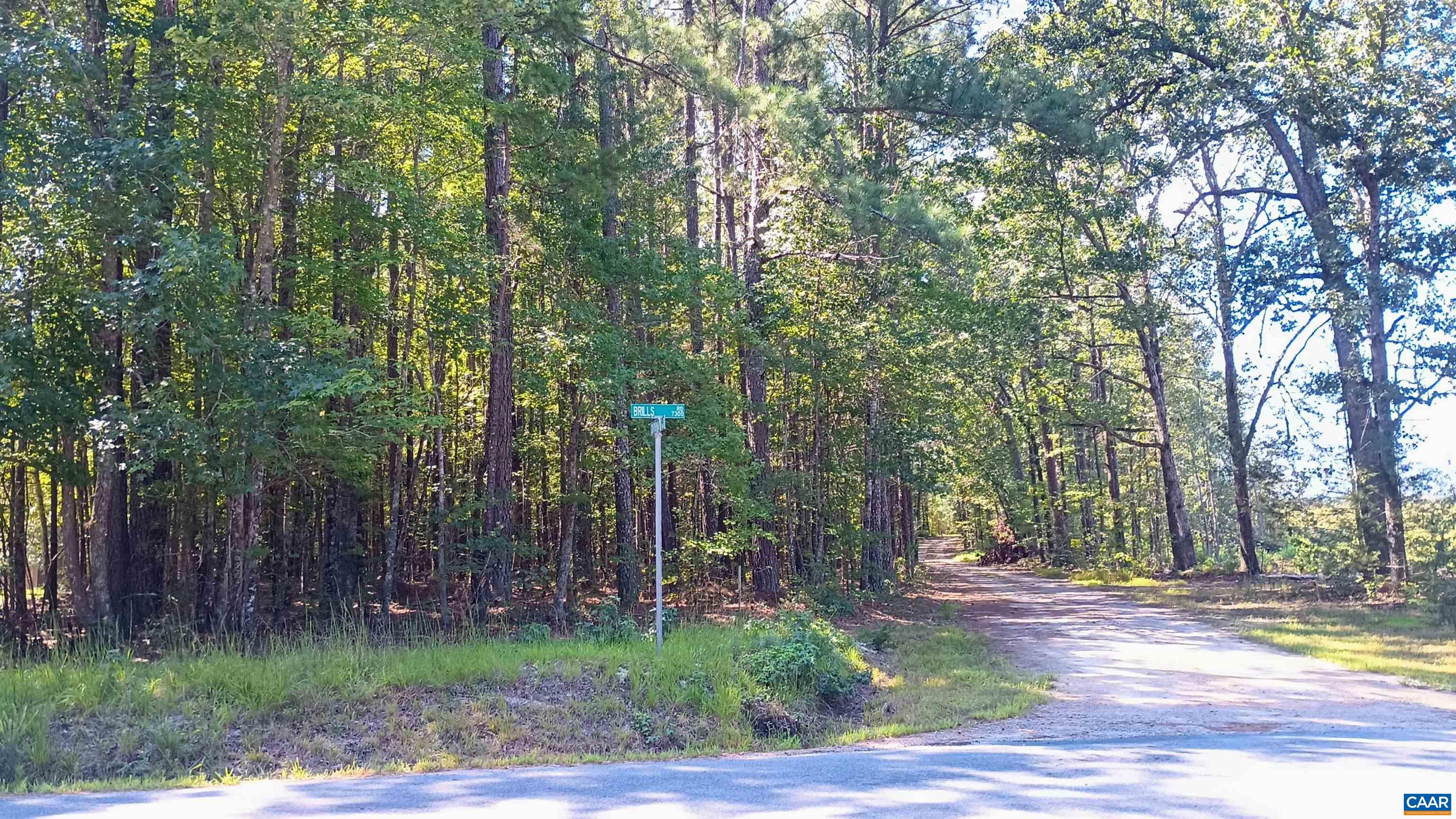 7303 Brills Rd, Mckenney, VA 23872 — photo 5