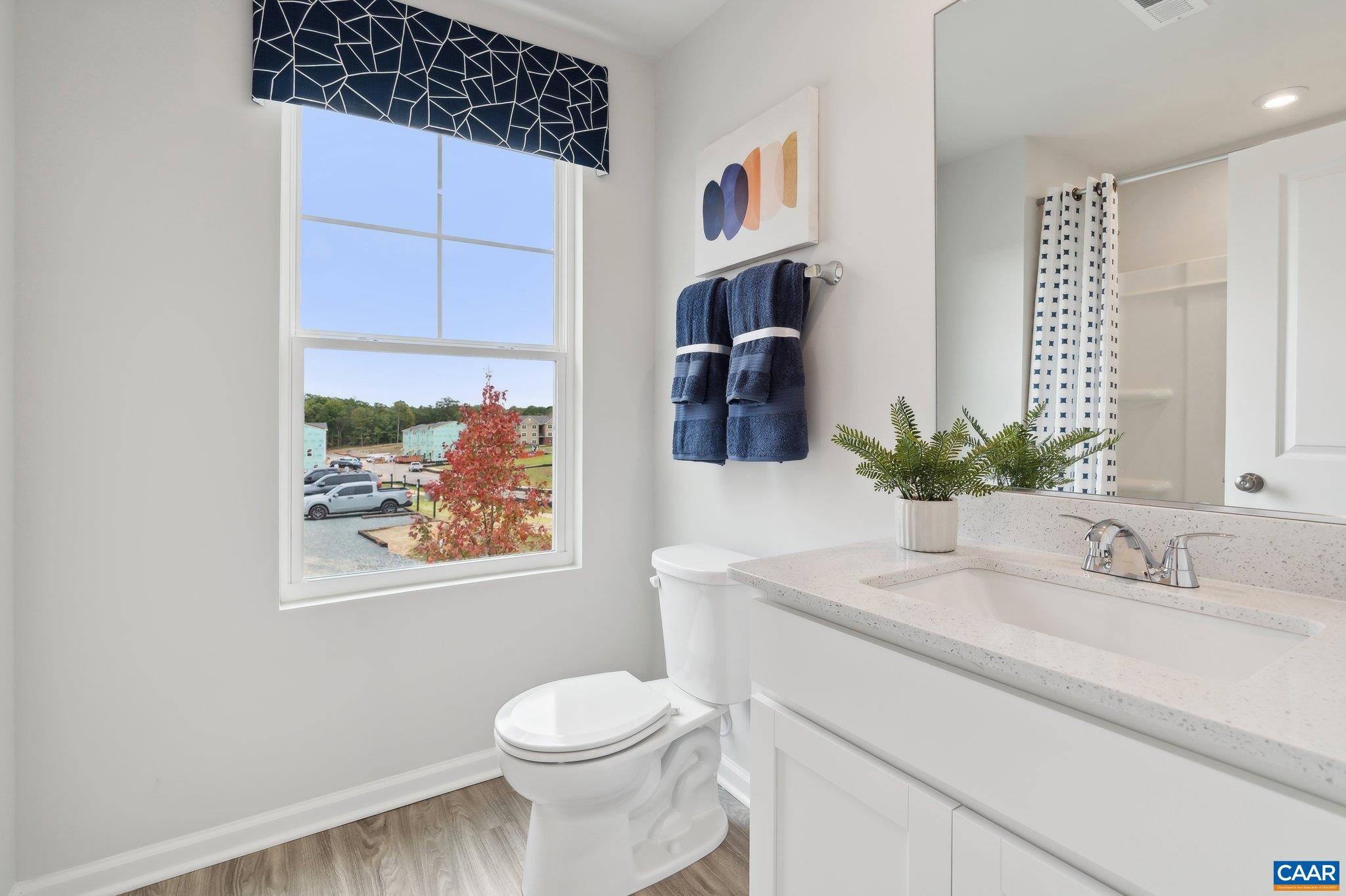14 Carrs Ct, Charlottesville, VA 22902 — photo 6