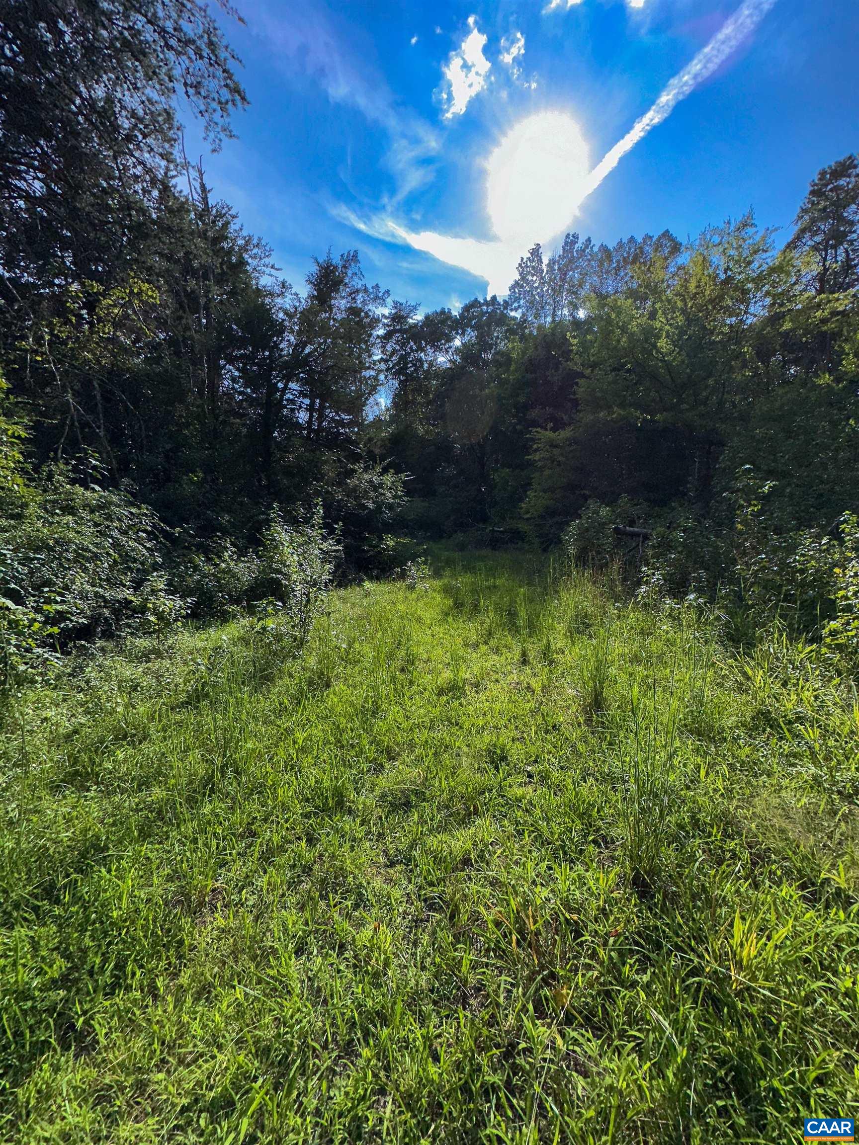 3337 Cedar Hill Rd, Mineral, VA 23117 - photo 10