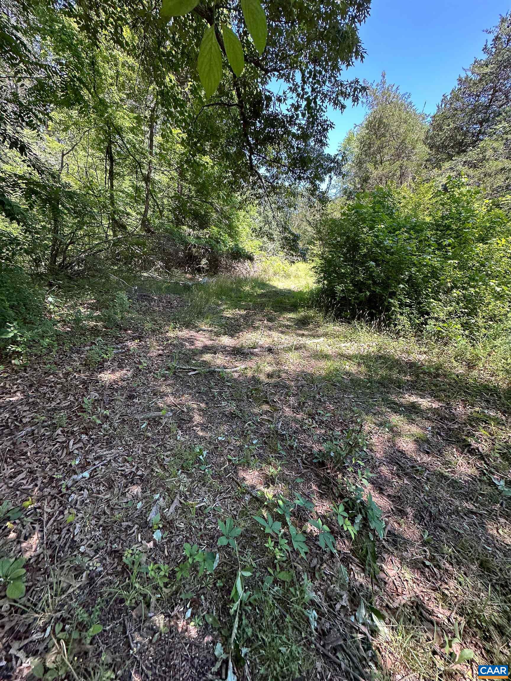 3337 Cedar Hill Rd, Mineral, VA 23117 - photo 3