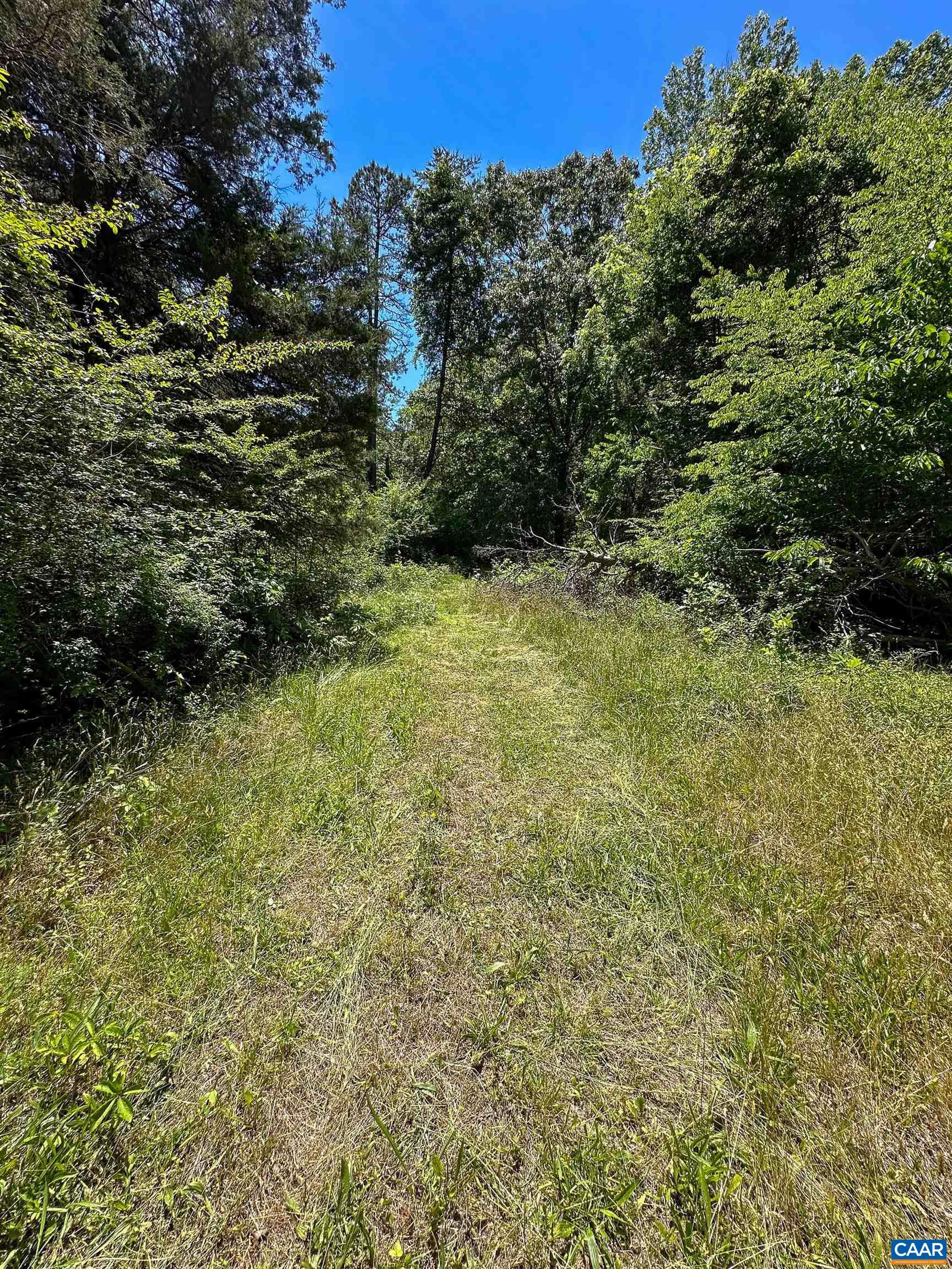 3337 Cedar Hill Rd, Mineral, VA 23117 - photo 4