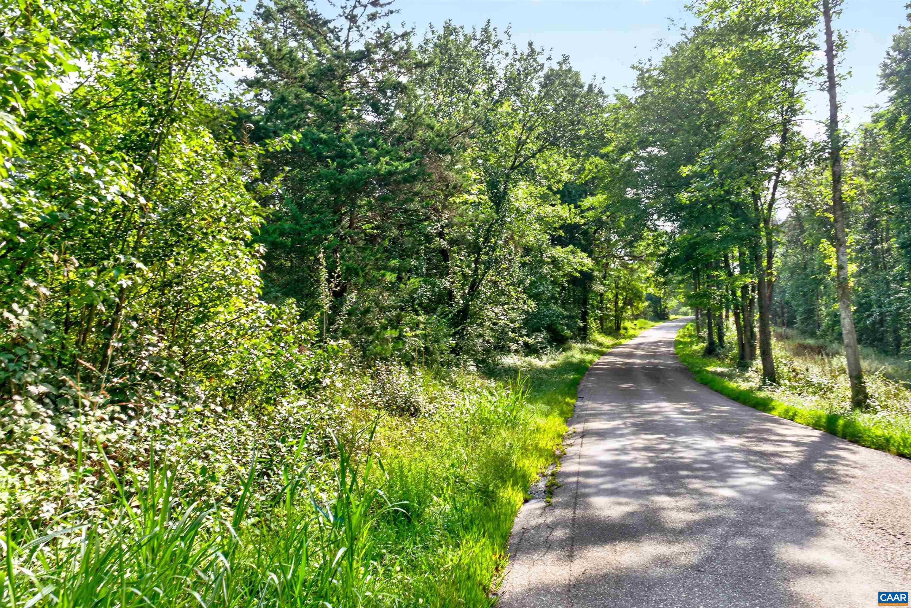 3337 Cedar Hill Rd, Mineral, VA 23117 - photo 5