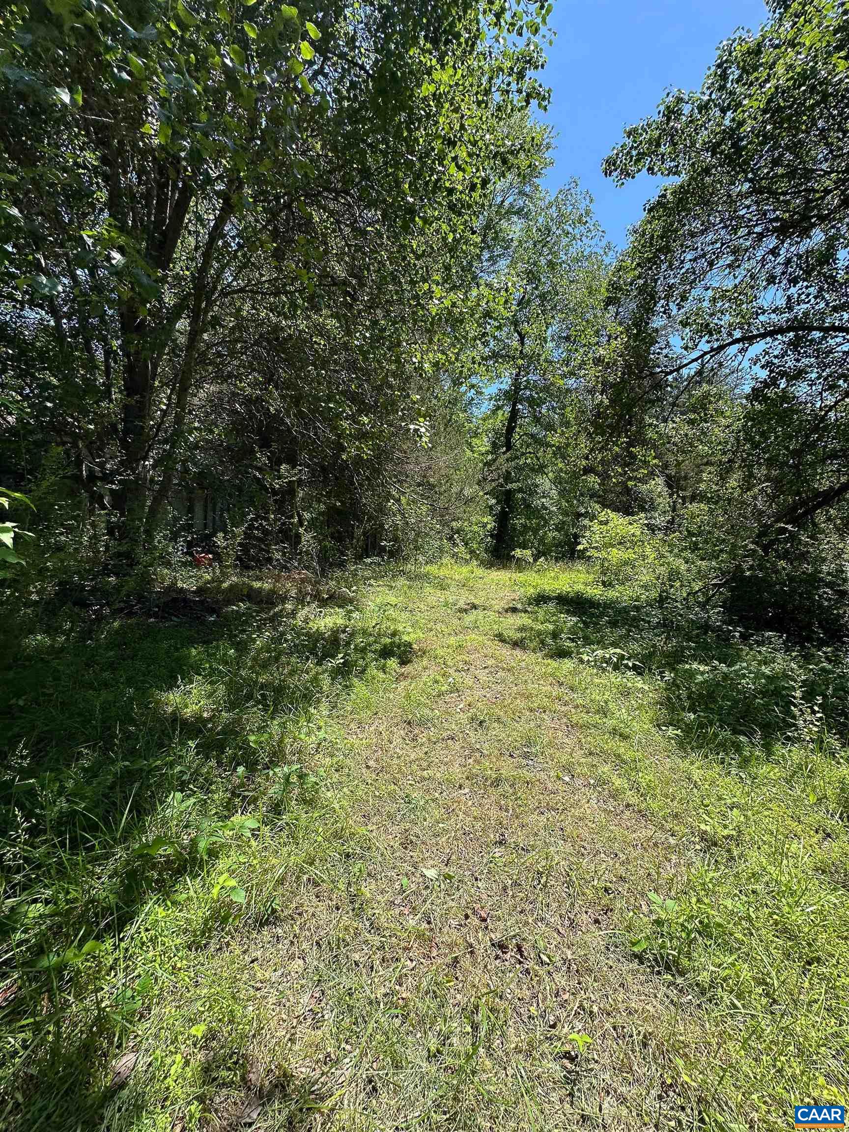 3337 Cedar Hill Rd, Mineral, VA 23117 - photo 7