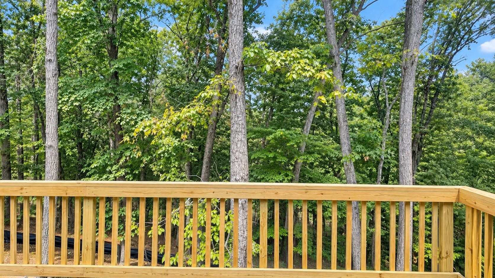 208 Creek Valley Dr, Basye, VA 22810 — photo 5