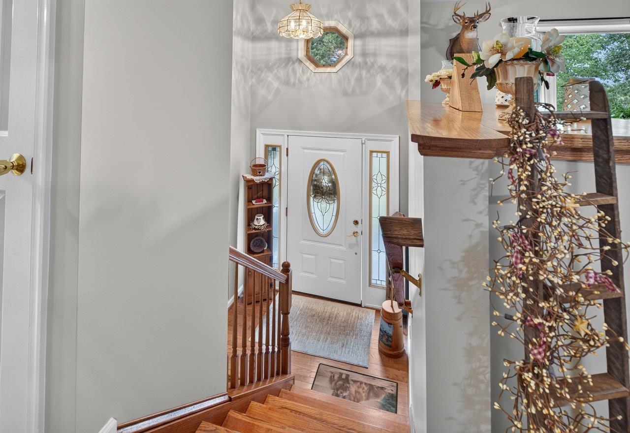9779 South East Side Hwy, Elkton, VA 22827 — photo 5