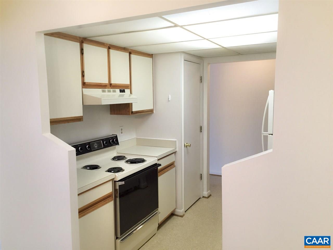 138 Green Turtle Ln, Charlottesville, VA 22901 — photo 7