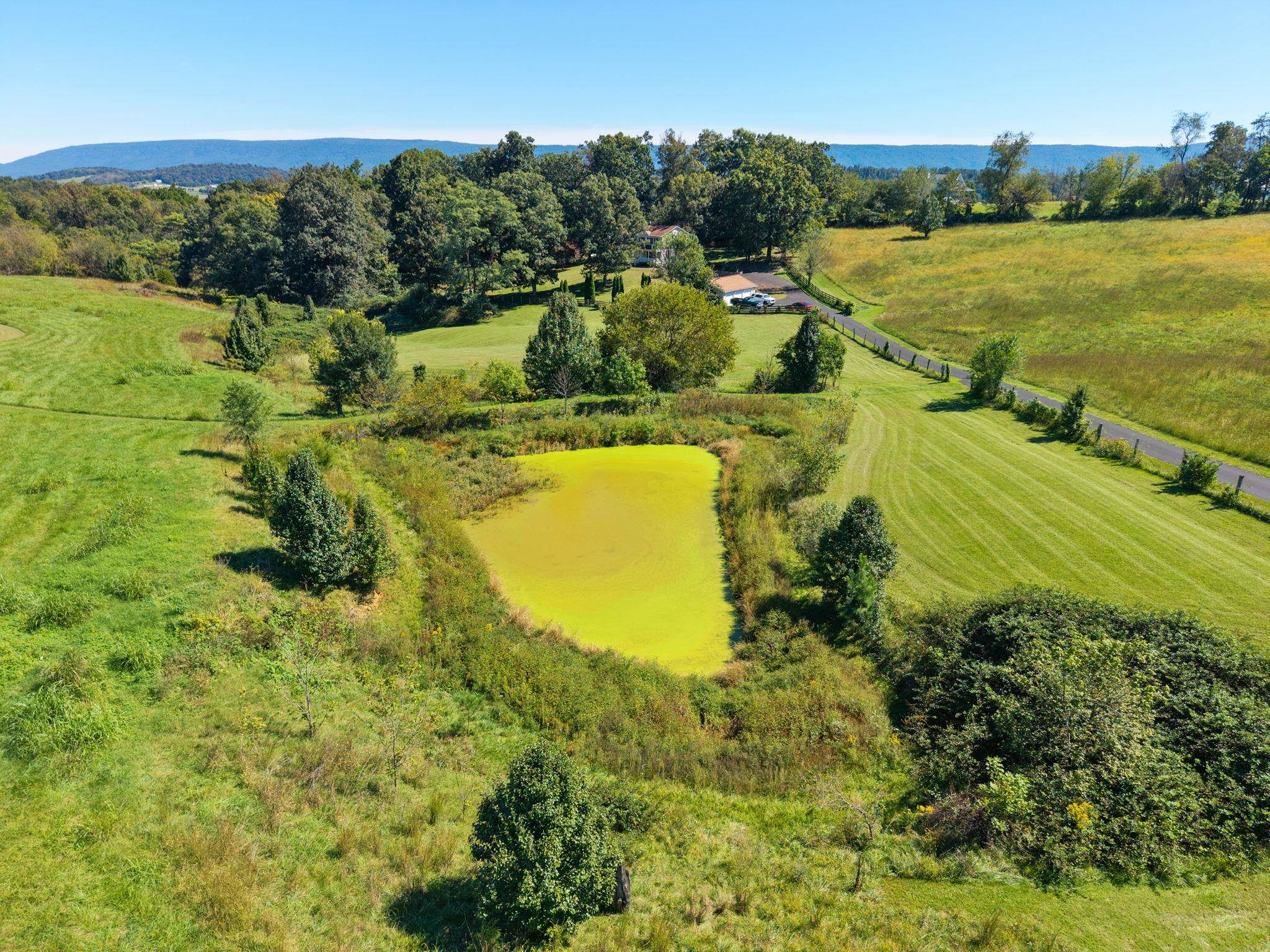 2162 Skippie Ln, Broadway, VA 22815 — photo 5