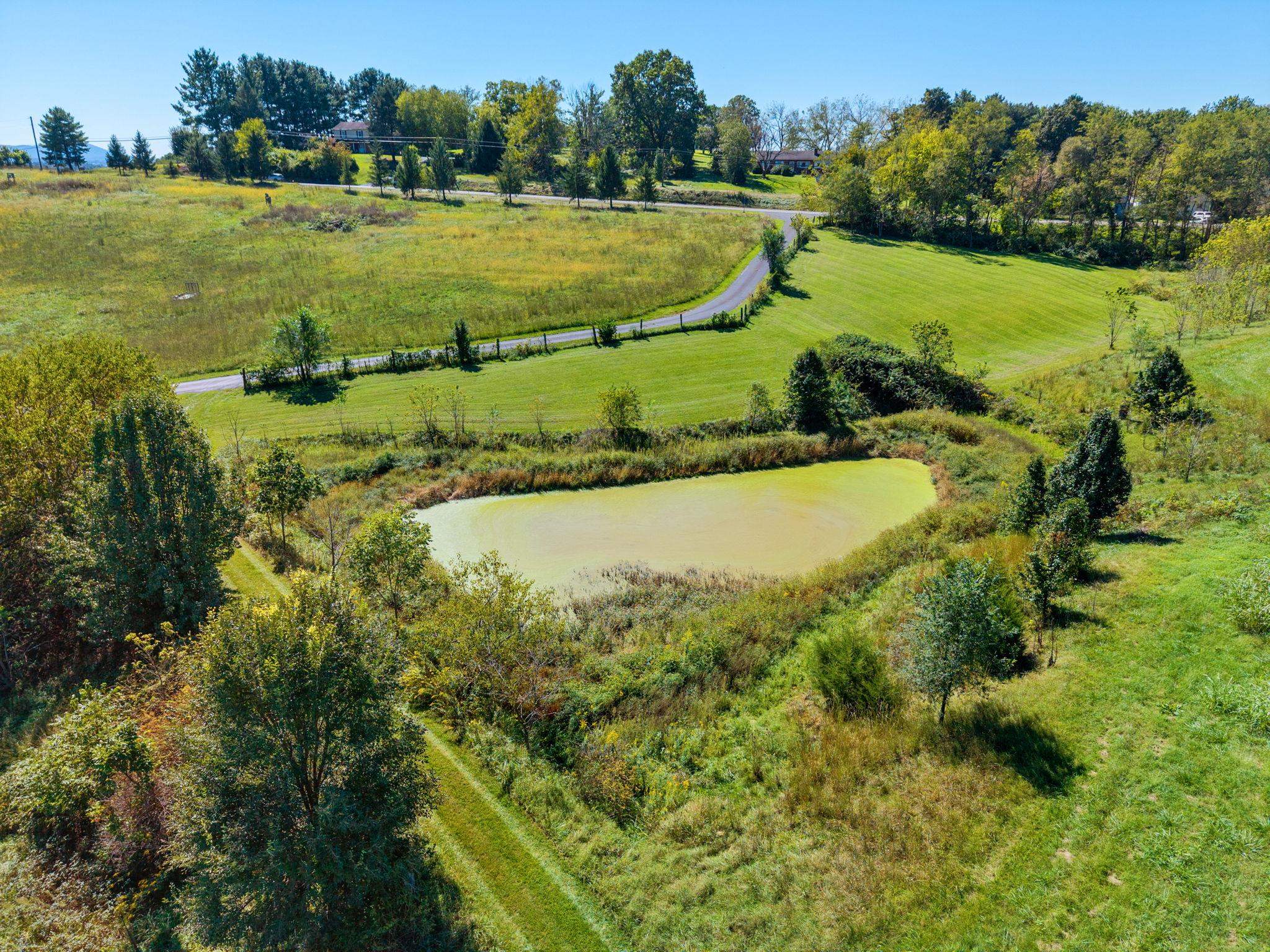 2162 Skippie Ln, Broadway, VA 22815 — photo 6