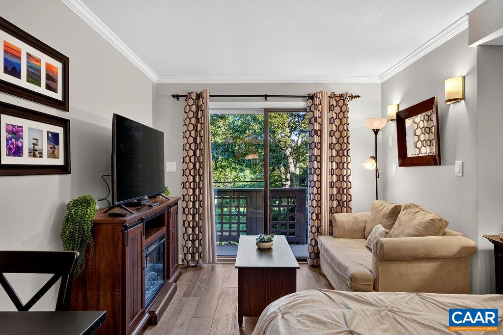 2064 Stone Ridge Condos, Wintergreen Resort, VA 22967 — photo 5