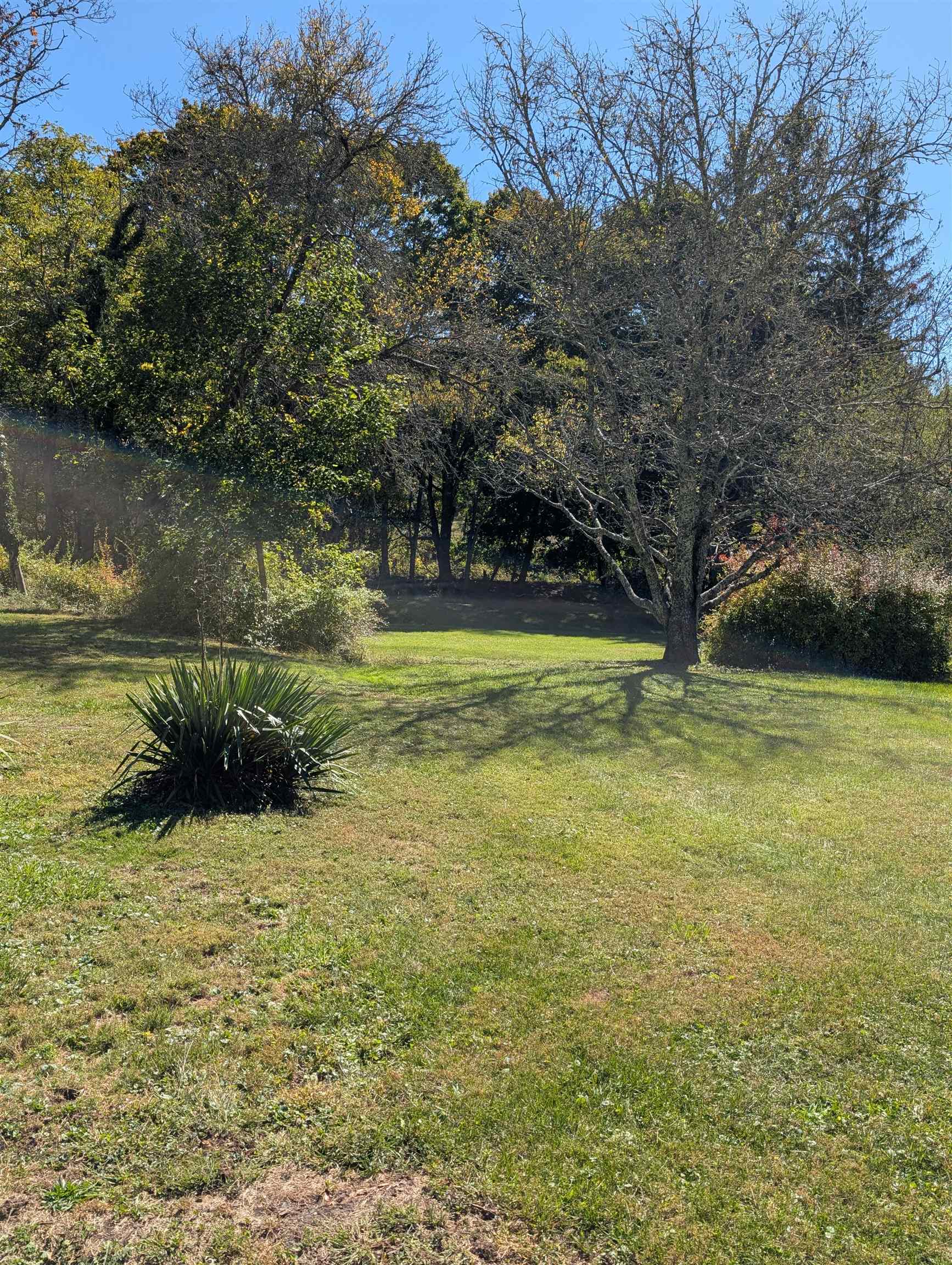 41 Lake View Dr, Bacova, VA 24412 — photo 6