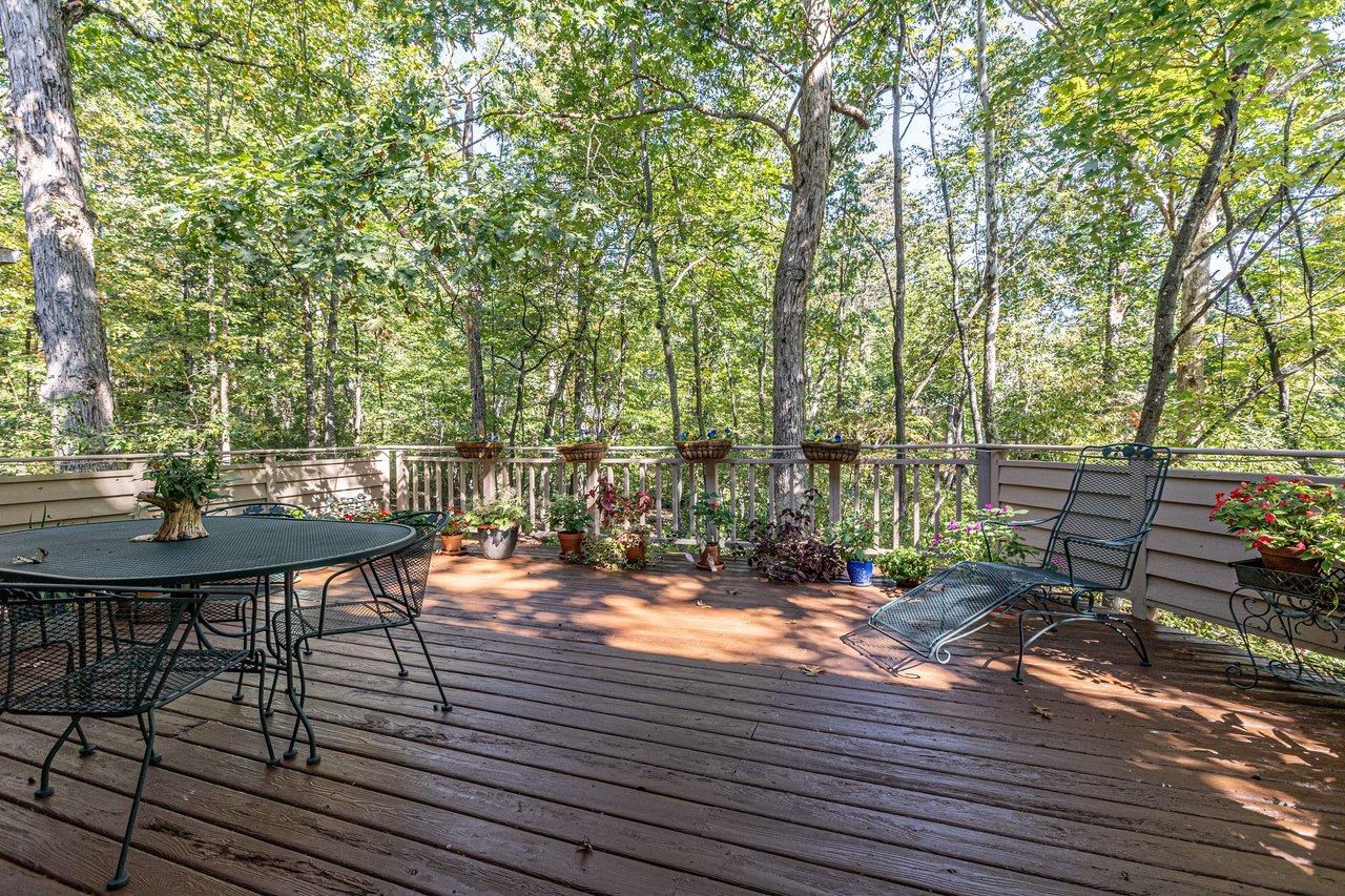 2504 Mountain Dr photo 53