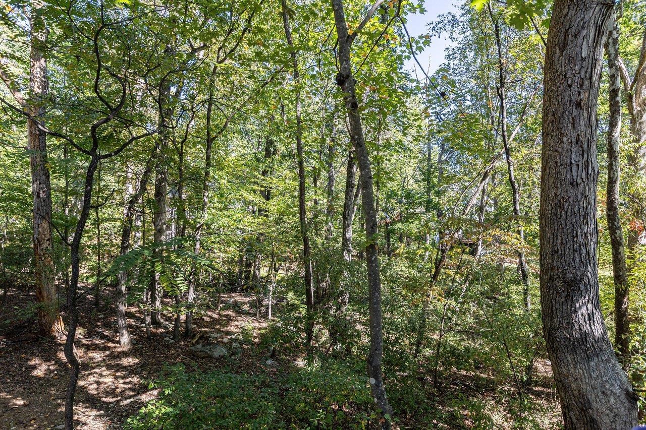 2504 Mountain Dr photo 56