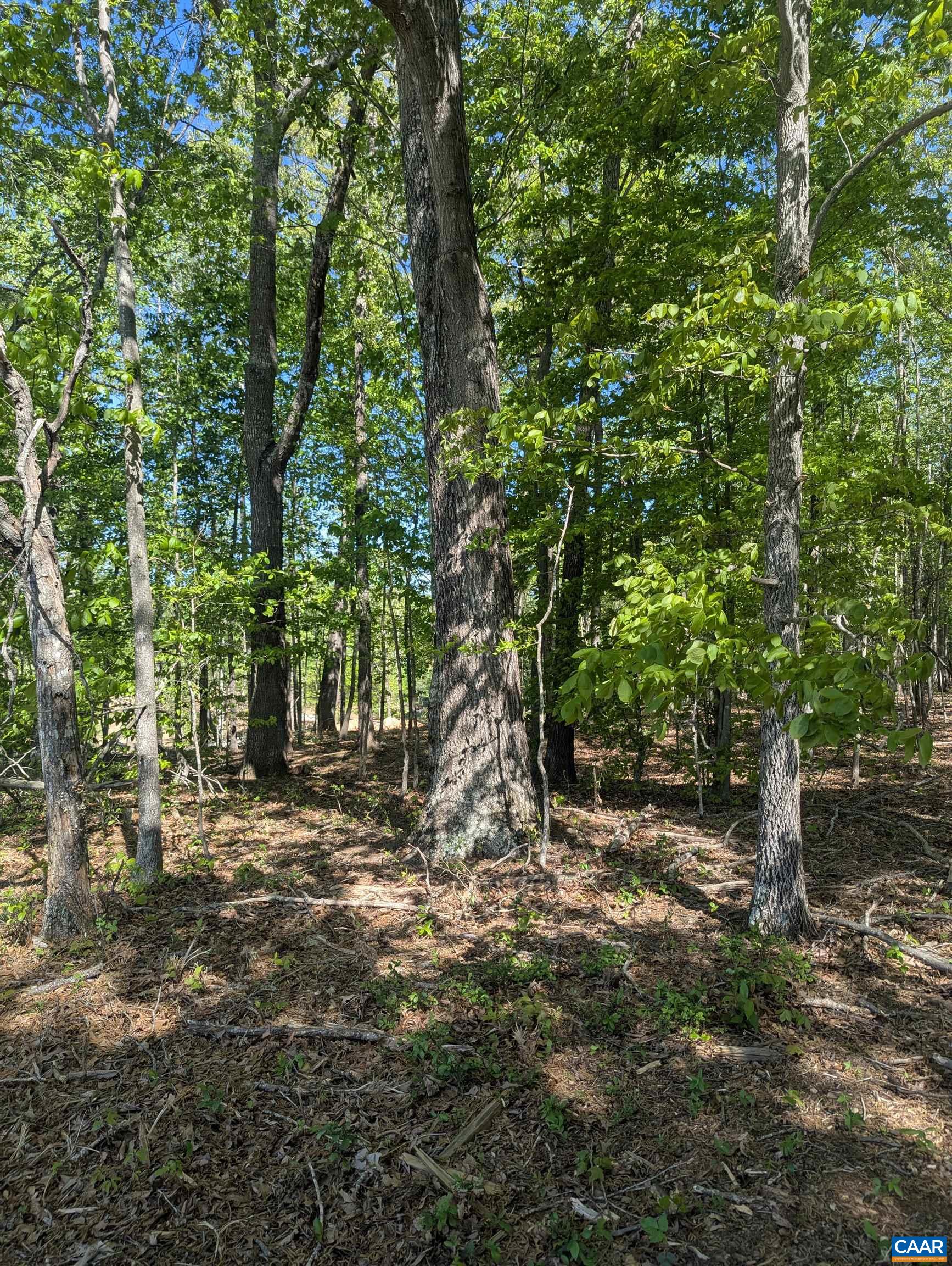 Horizon Dr, Ruckersville, VA 22968 - photo 5