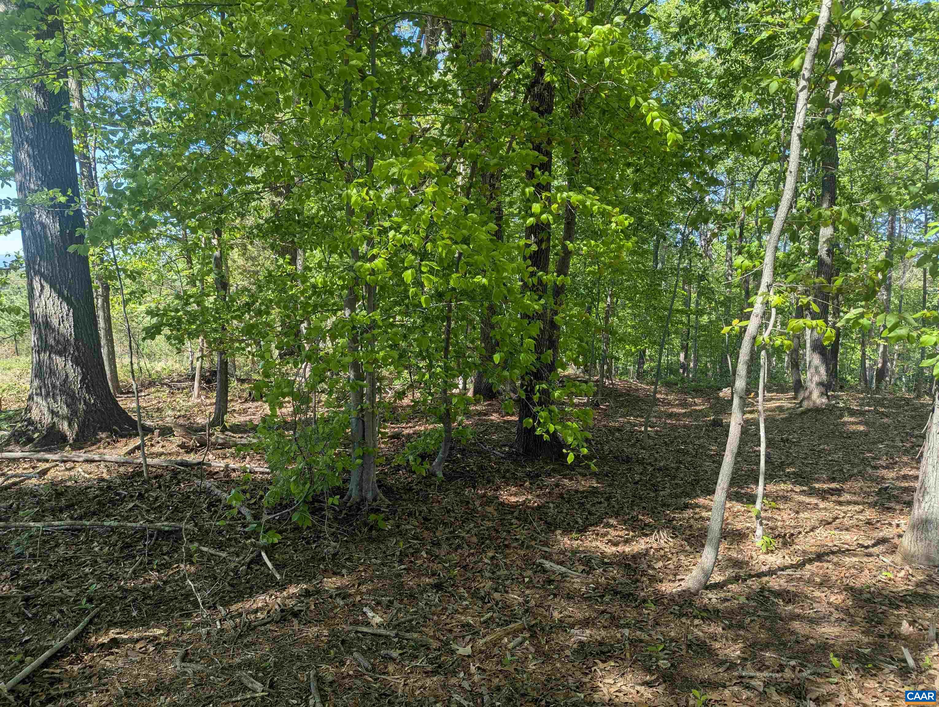 Horizon Dr, Ruckersville, VA 22968 - photo 8