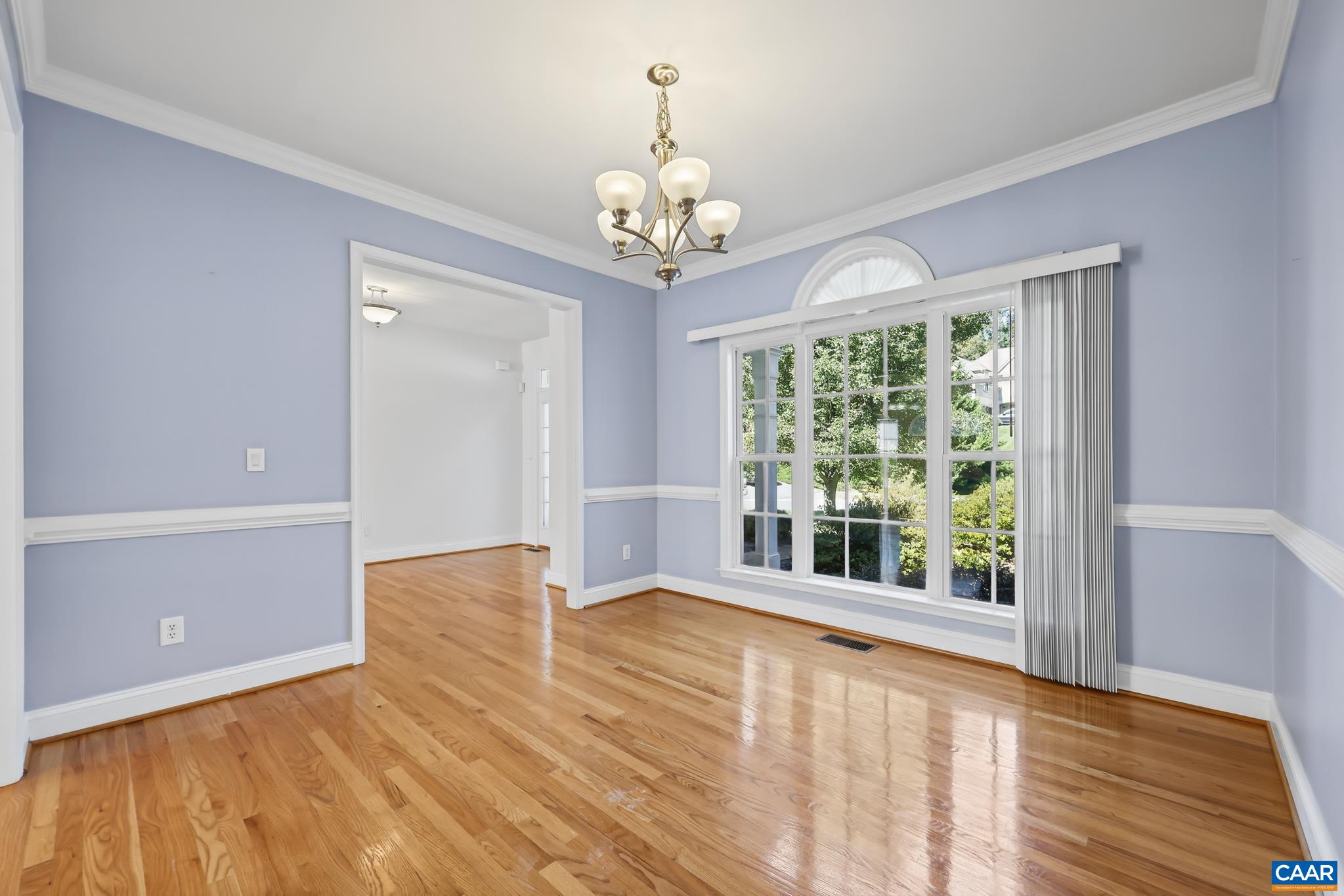 1706 Mattox Ct, Charlottesville, VA 22903 - photo 10