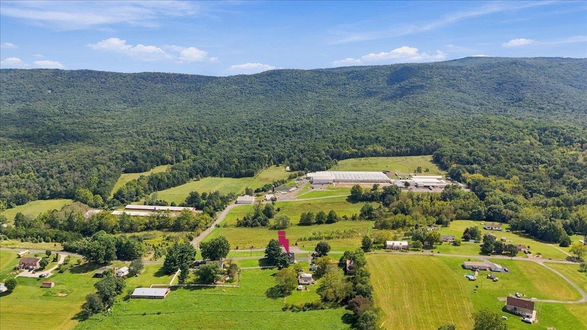 12029 Mountain Valley Rd photo 71