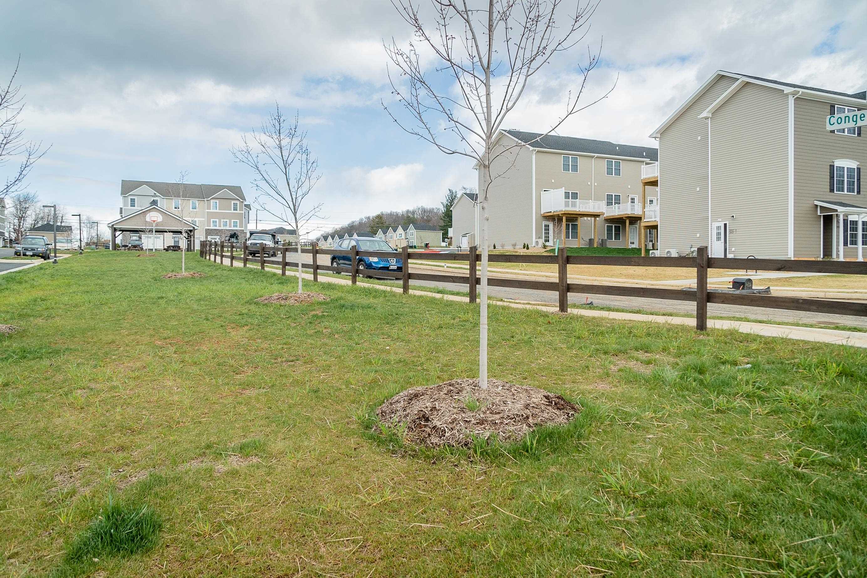 1429 Clydesdale Ln photo 39