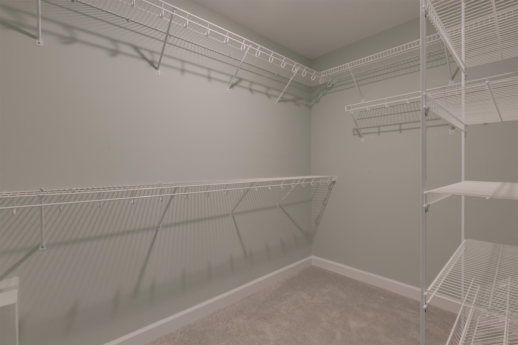 1437 Clydesdale Ln photo 22