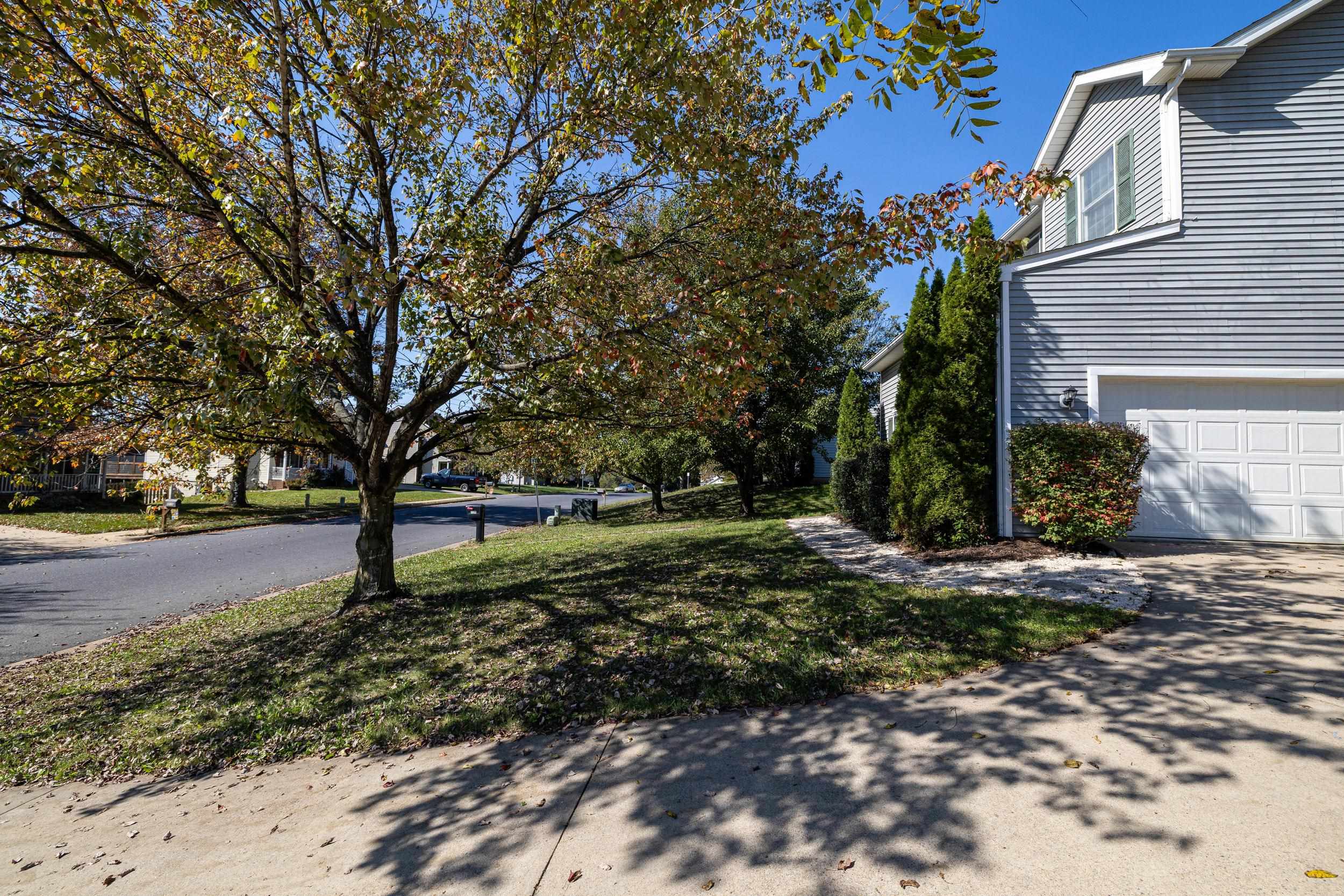 1120 King Edwards Way photo 55