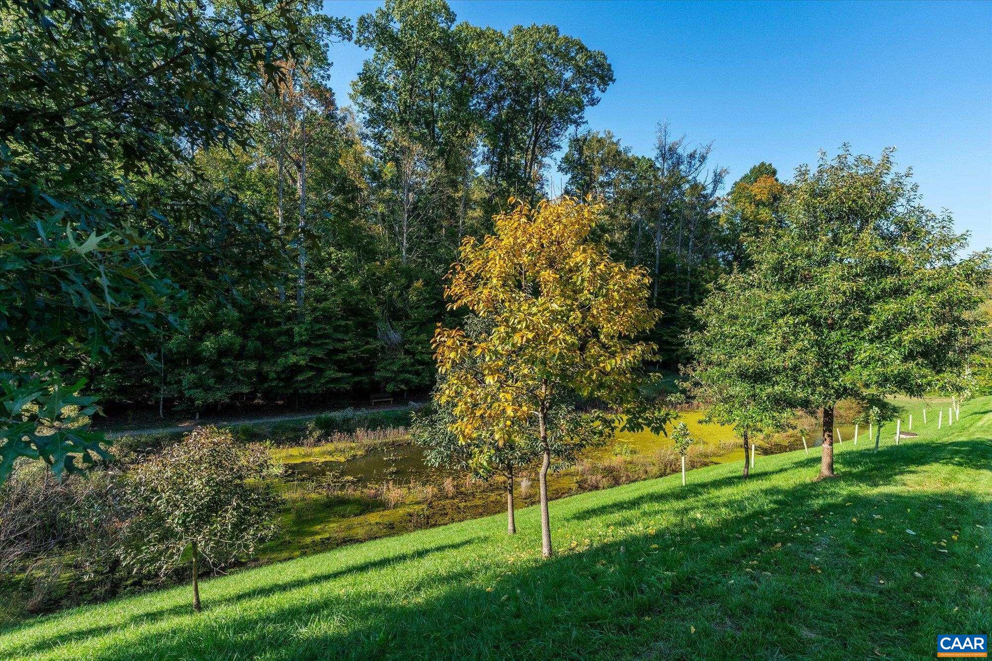2054 Bethpage Ct, Charlottesville, VA 22901 - photo 10