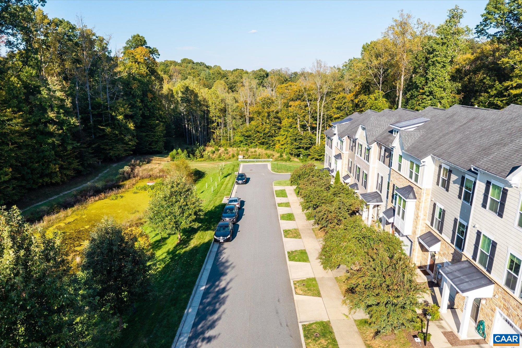 2054 Bethpage Ct, Charlottesville, VA 22901 - photo 3