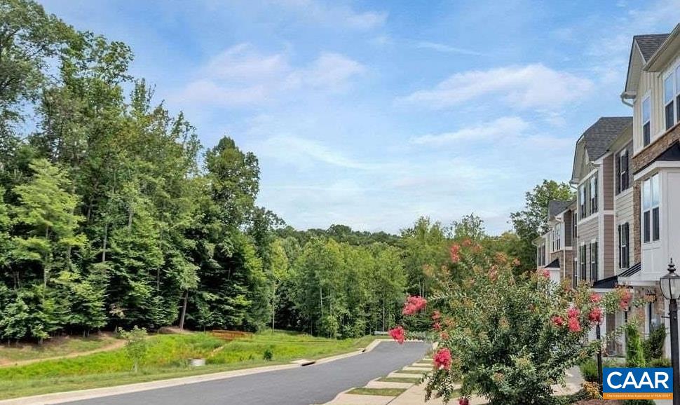 2054 Bethpage Ct, Charlottesville, VA 22901 - photo 4