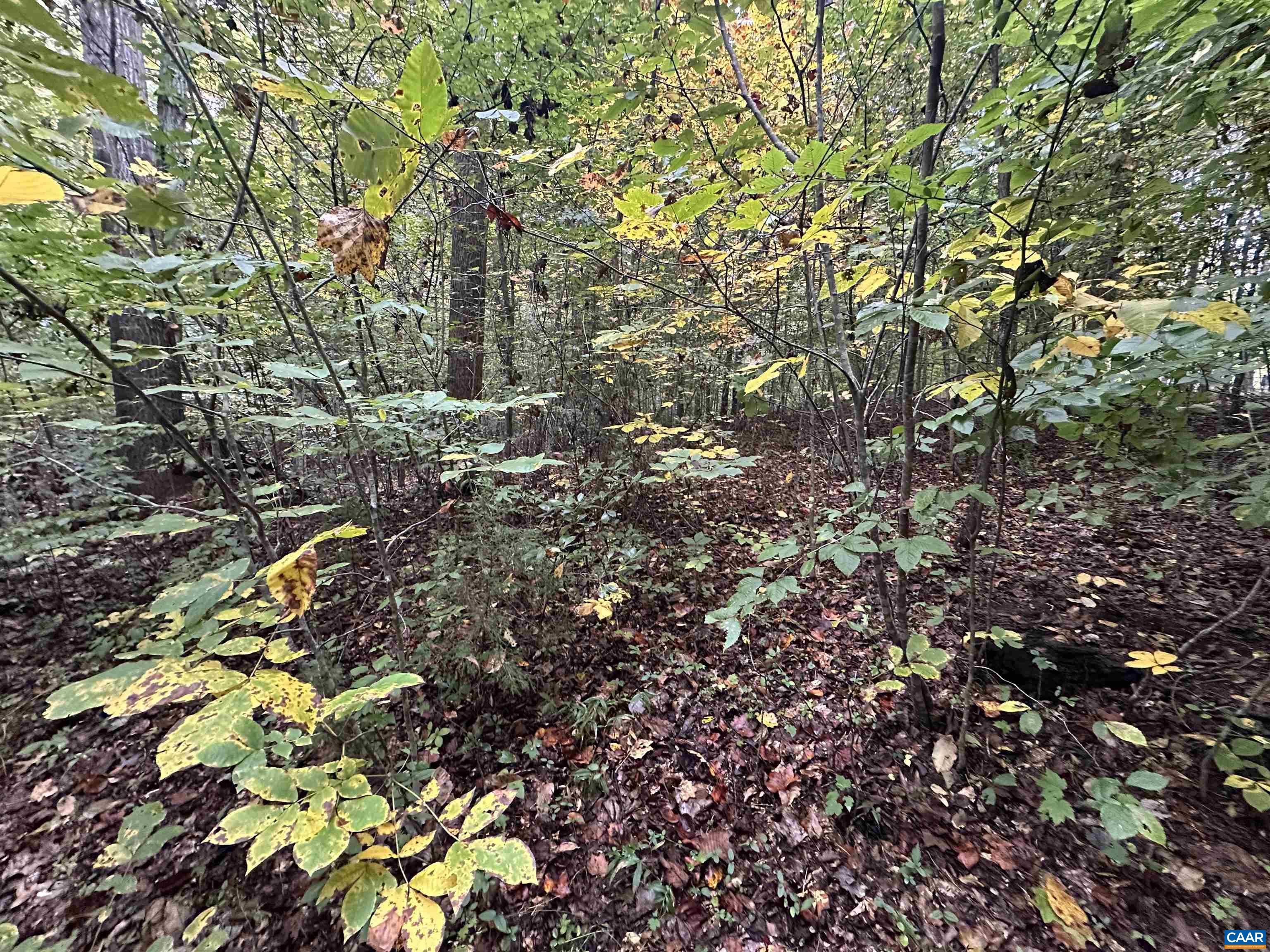 901 Fredericksburg Rd, Ruckersville, VA 22968 - photo 10