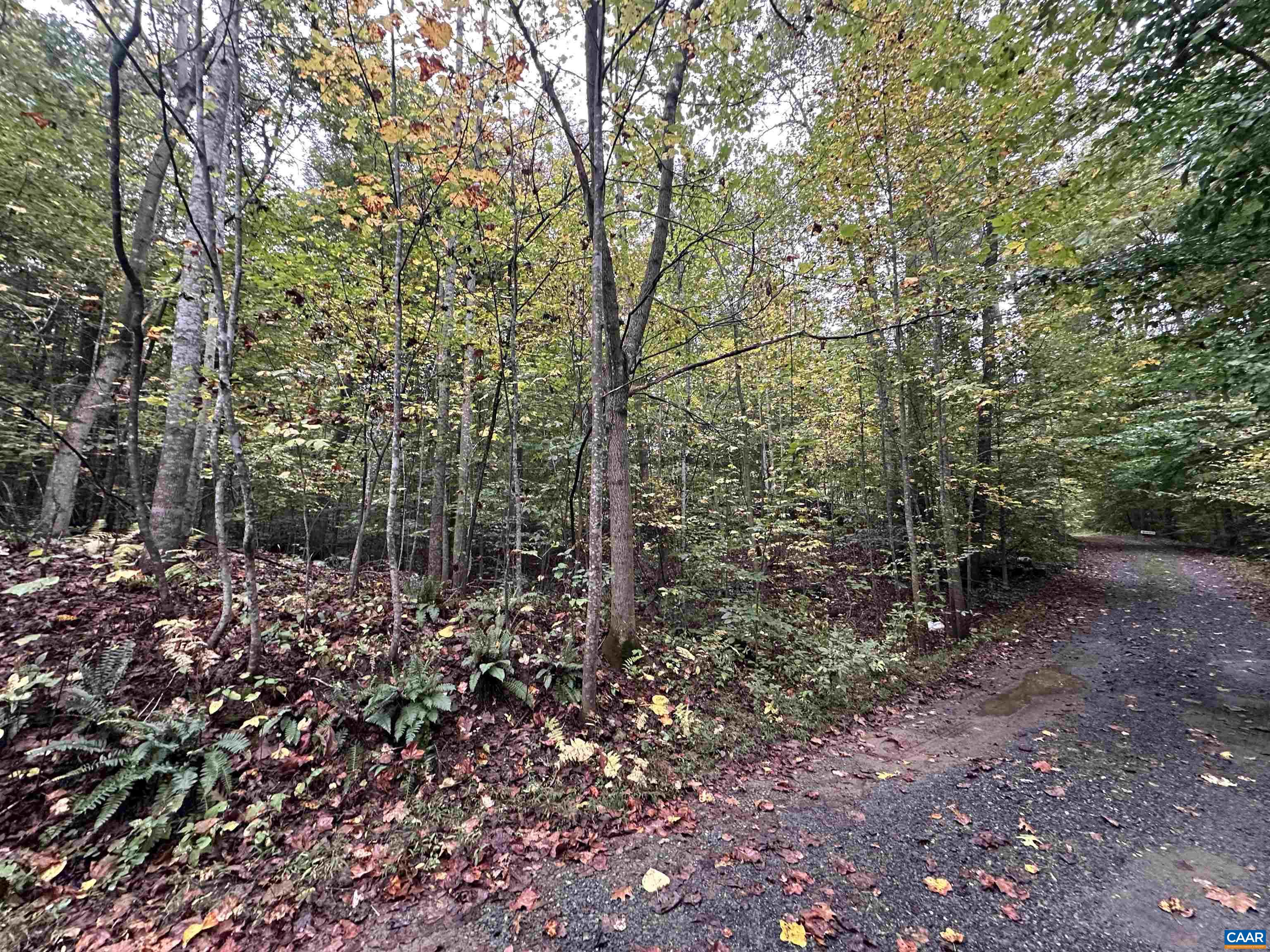 901 Fredericksburg Rd, Ruckersville, VA 22968 - photo 7