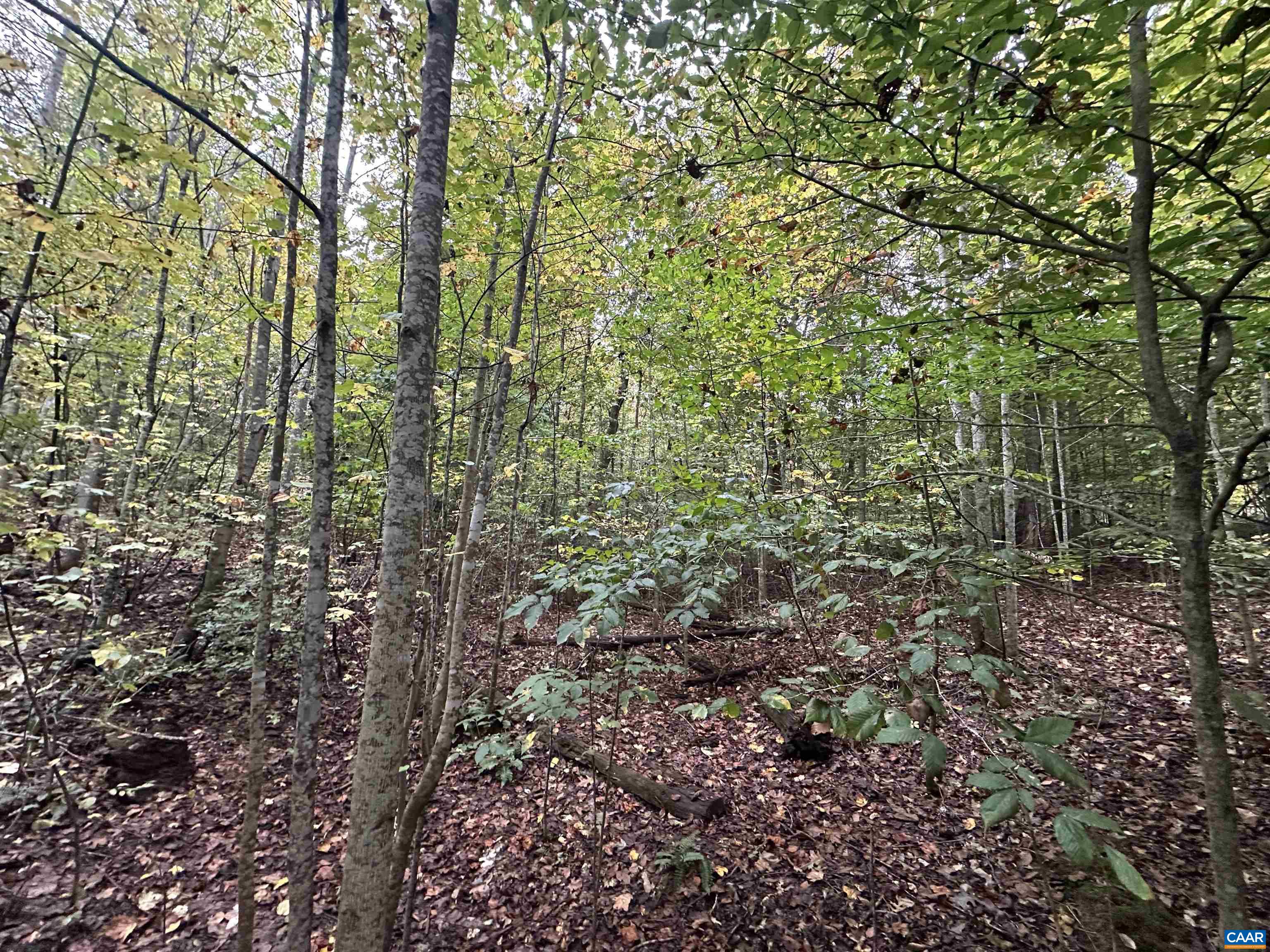 901 Fredericksburg Rd, Ruckersville, VA 22968 - photo 8