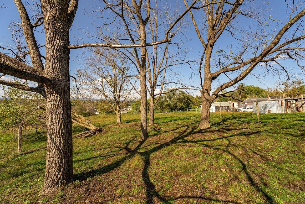 2301 Mayland Rd photo 51