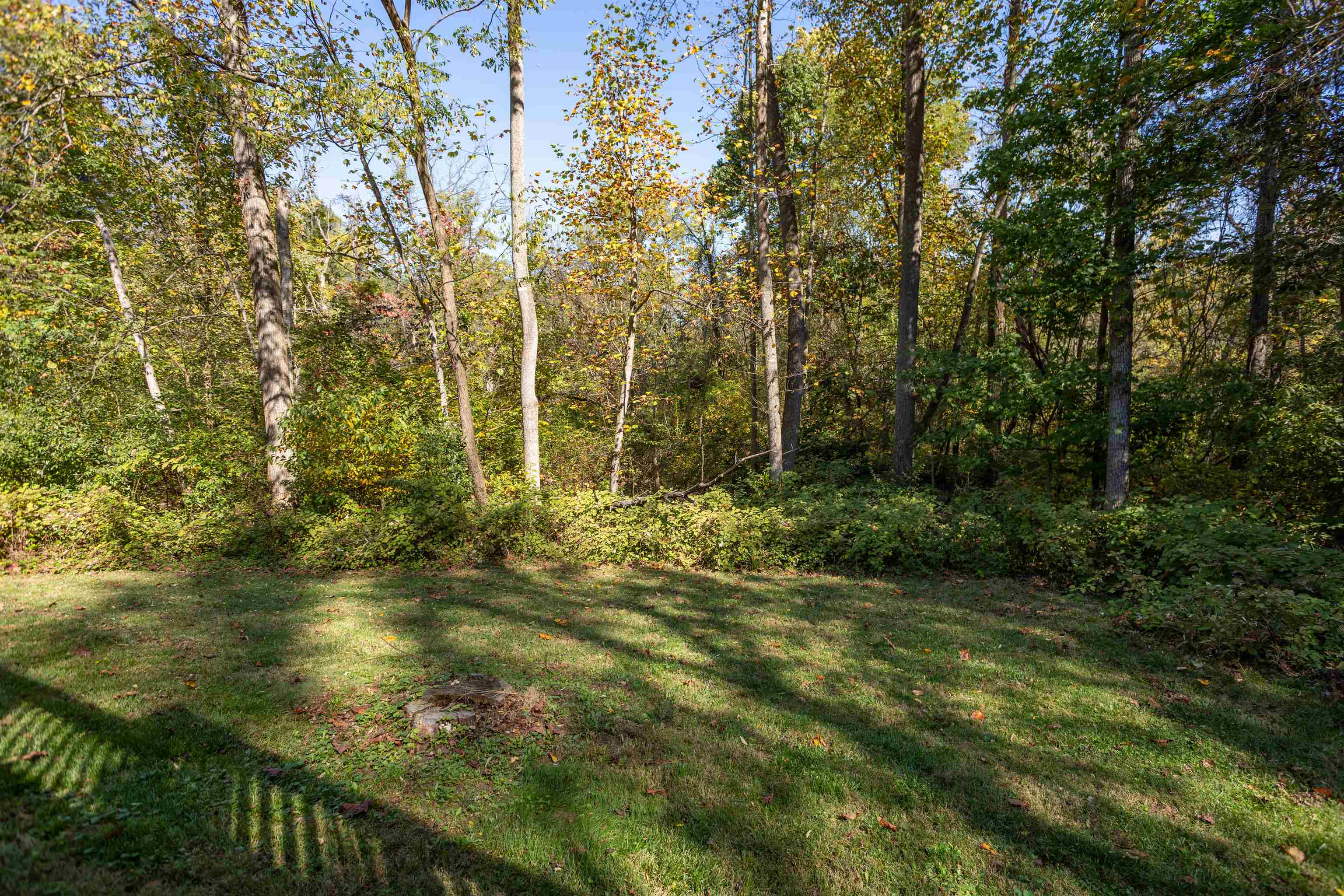 274 Rhododendron Ct photo 50