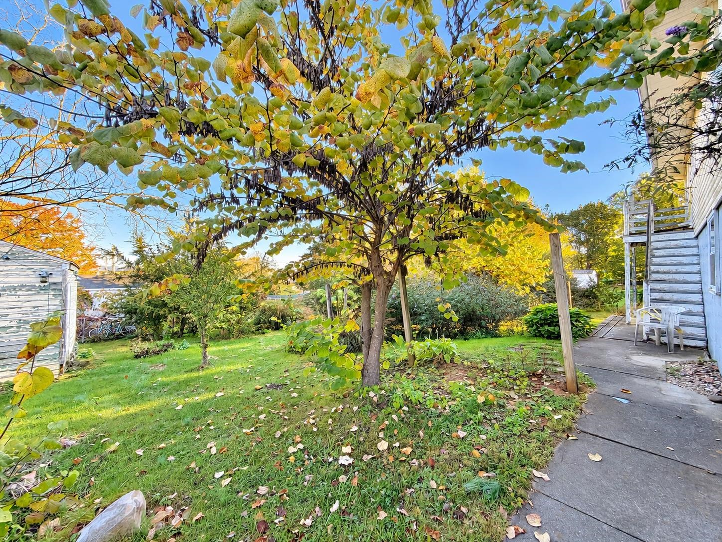 1041 Moore St photo 2