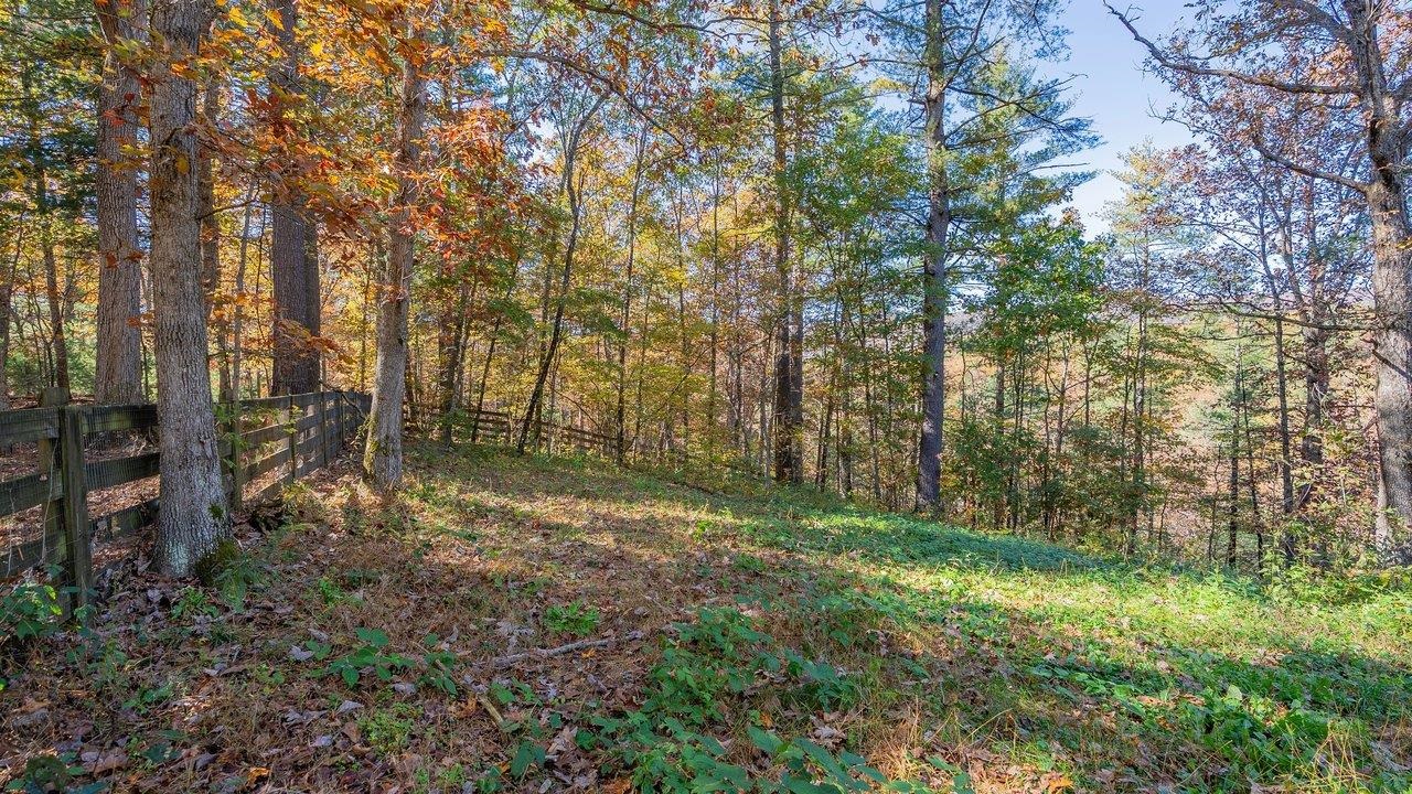 17853 Sundance Forest Rd photo 60